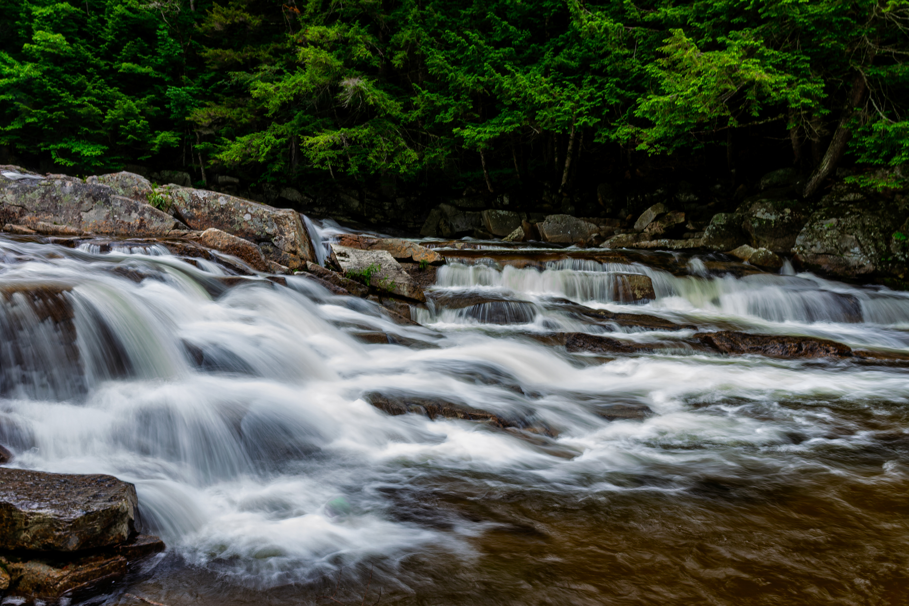 Jackson Falls No28