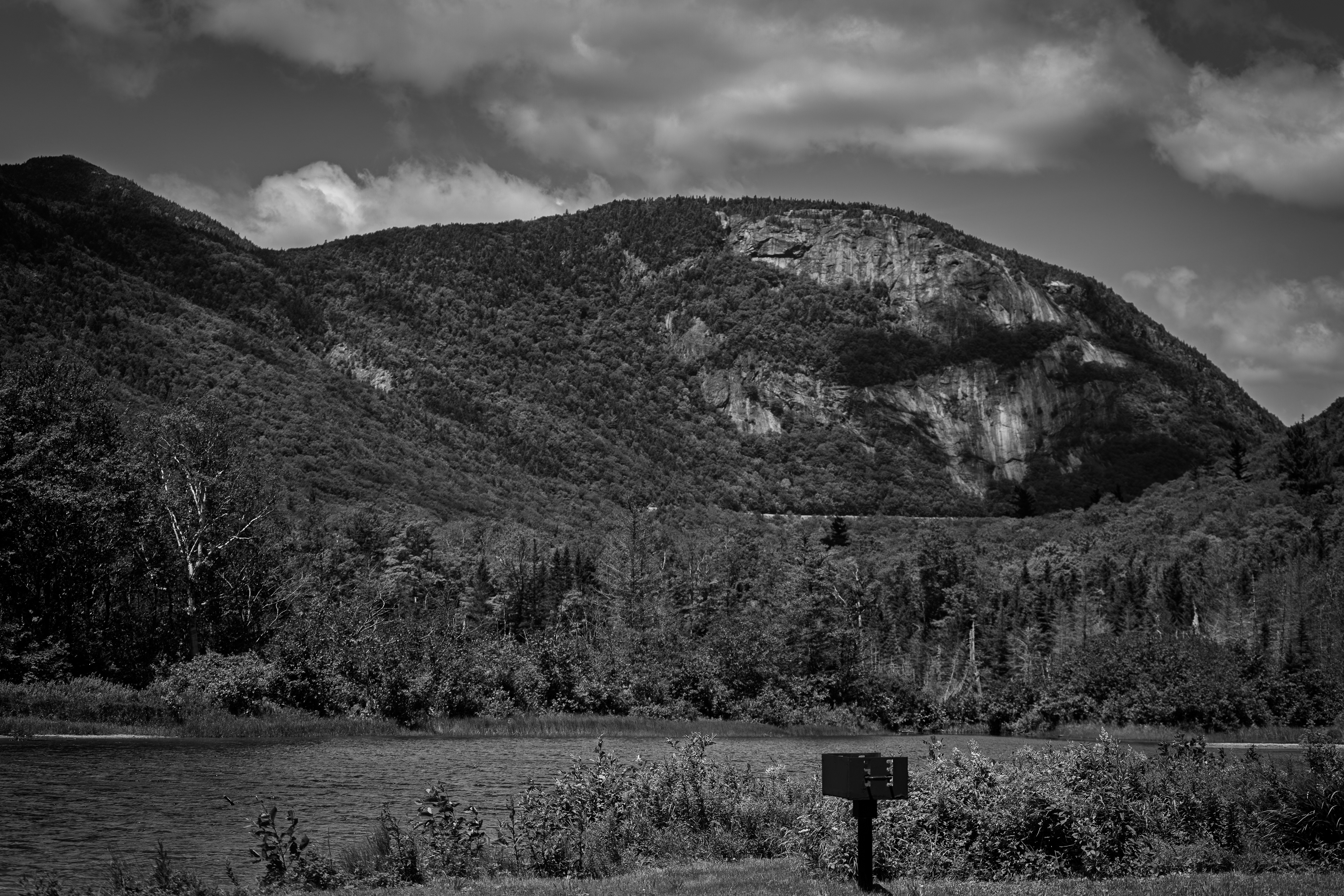 Mount Willard from Willey Pond No3