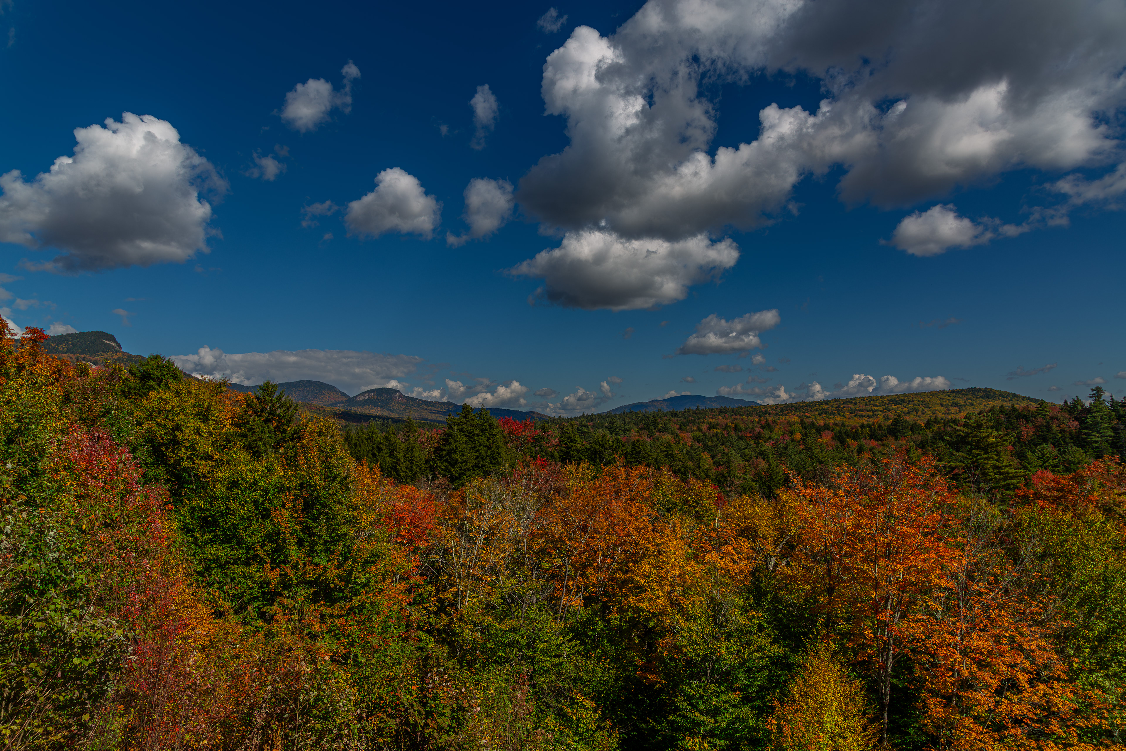 Sugar Hill Scenic Vista No1