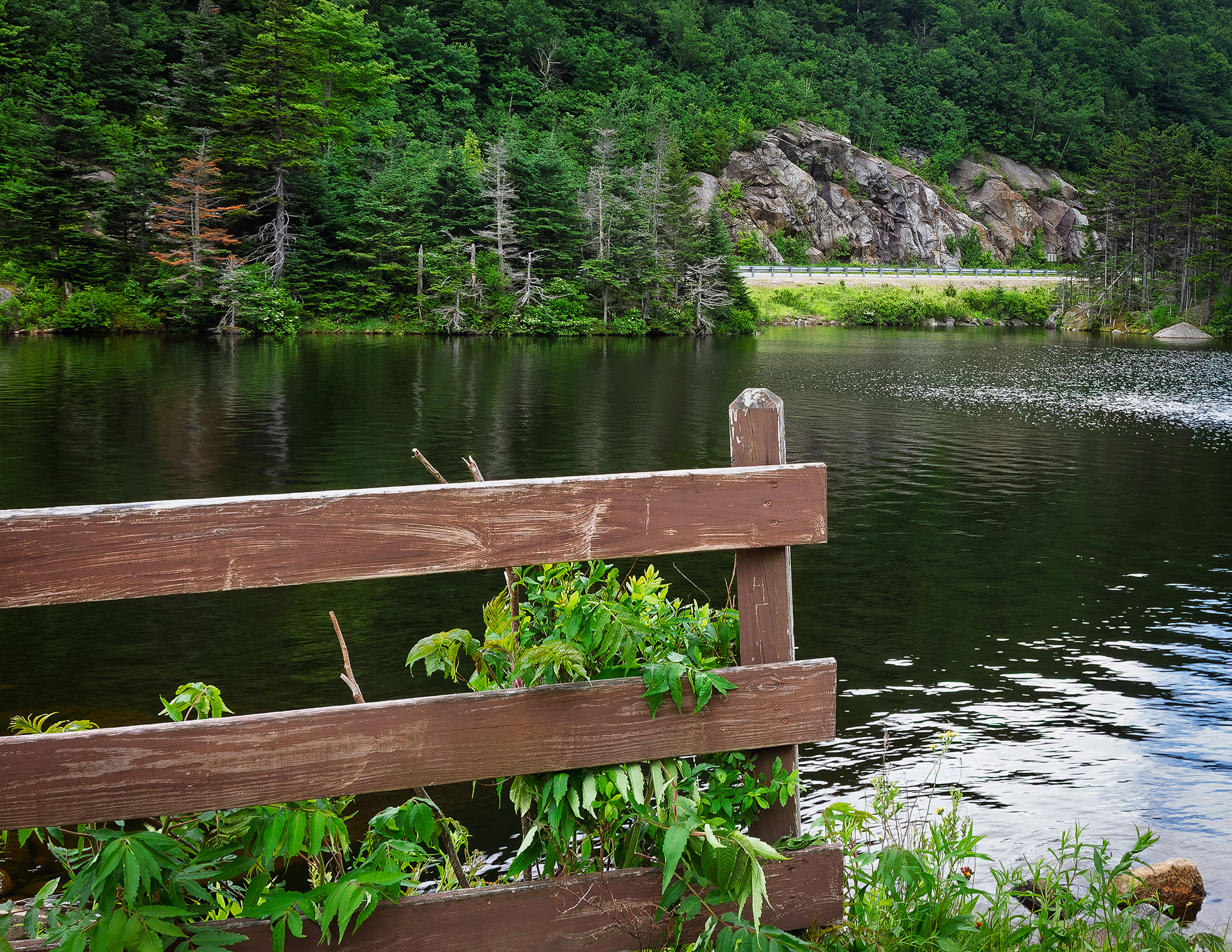 Beaver Pond No1