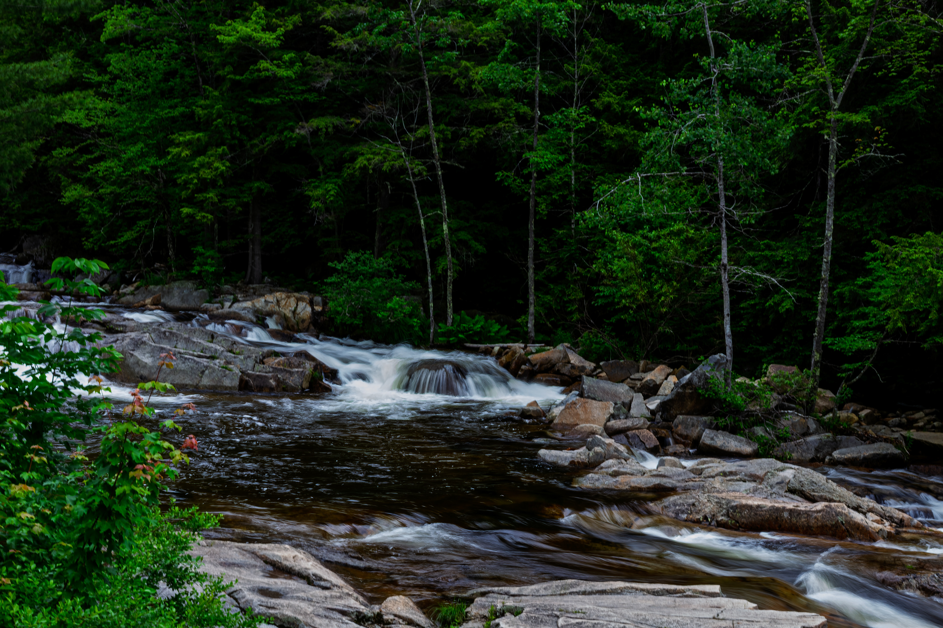 Jackson Falls 30