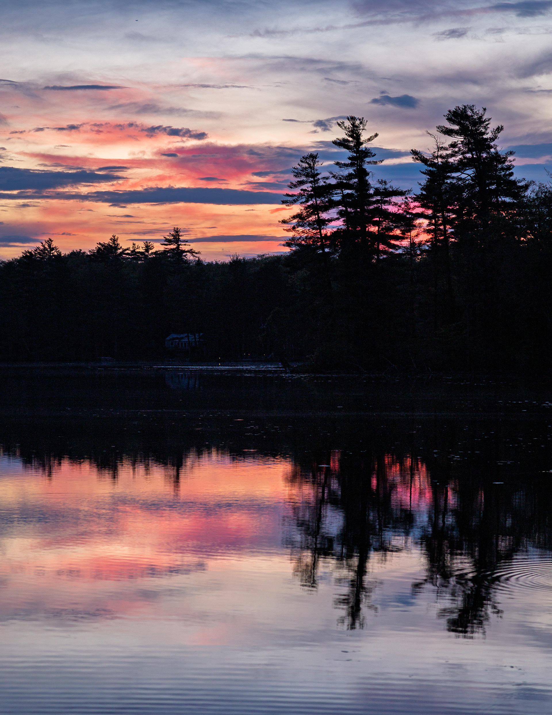 Shellcamp Afterglow No6