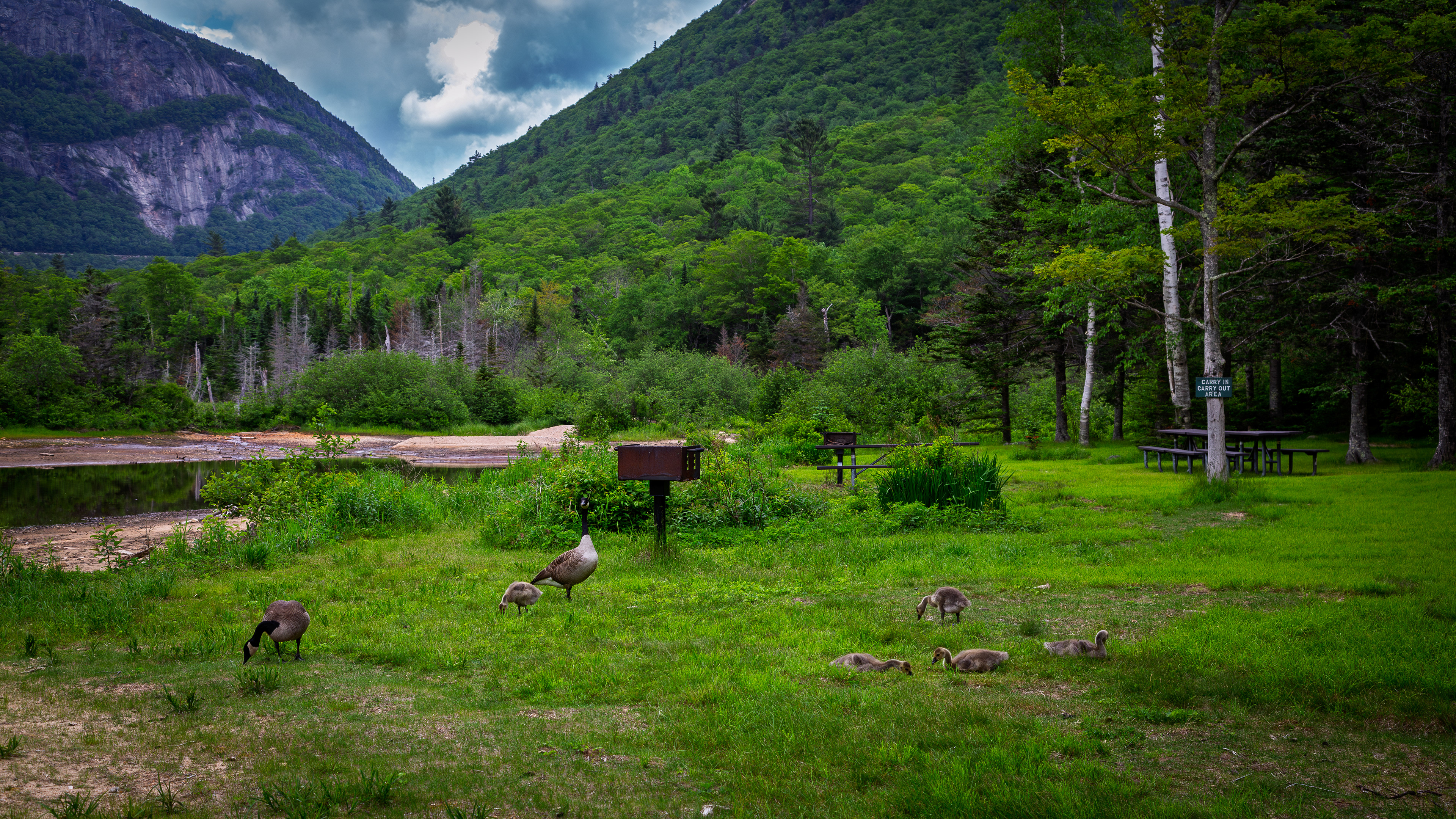 Picnic Area at Willey Pond