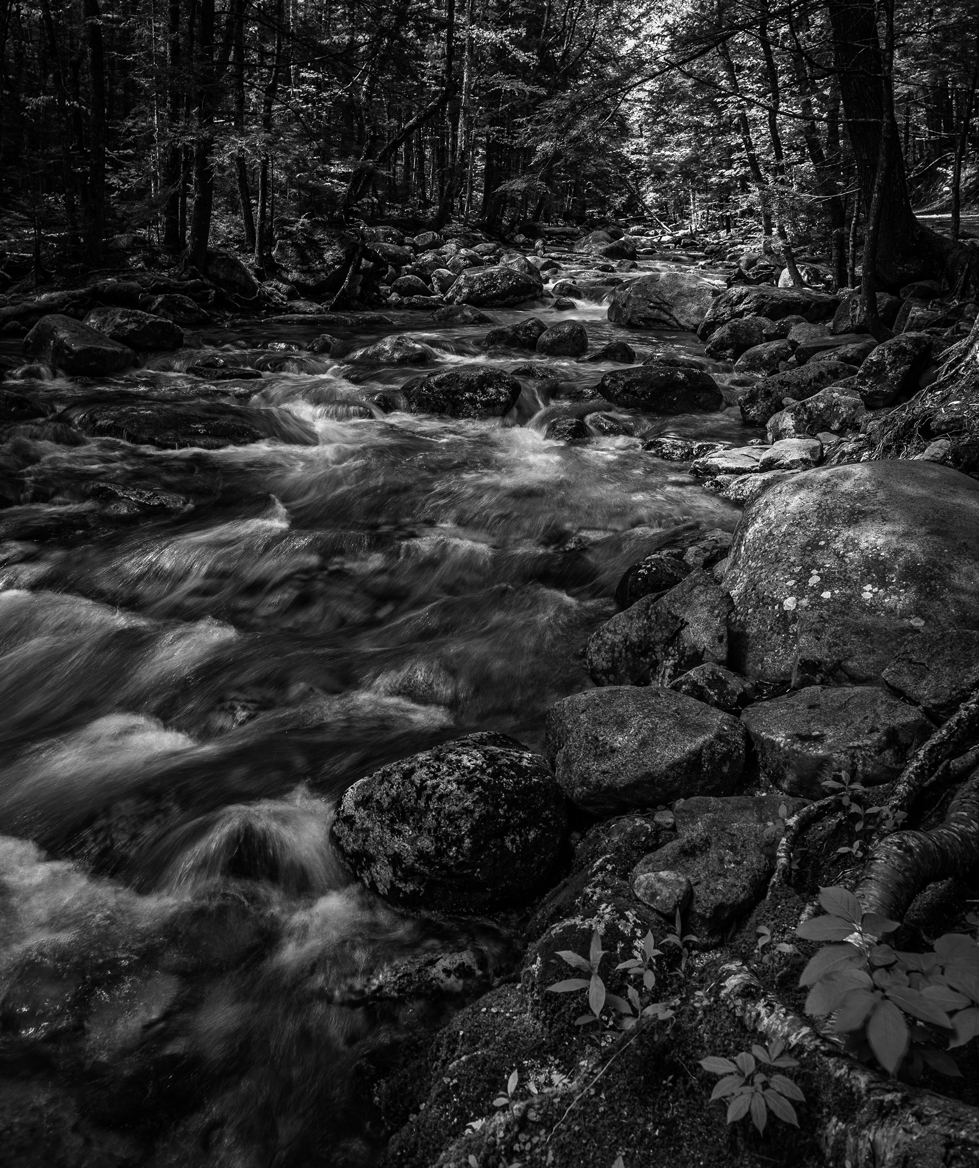 Sabbaday Brook No1