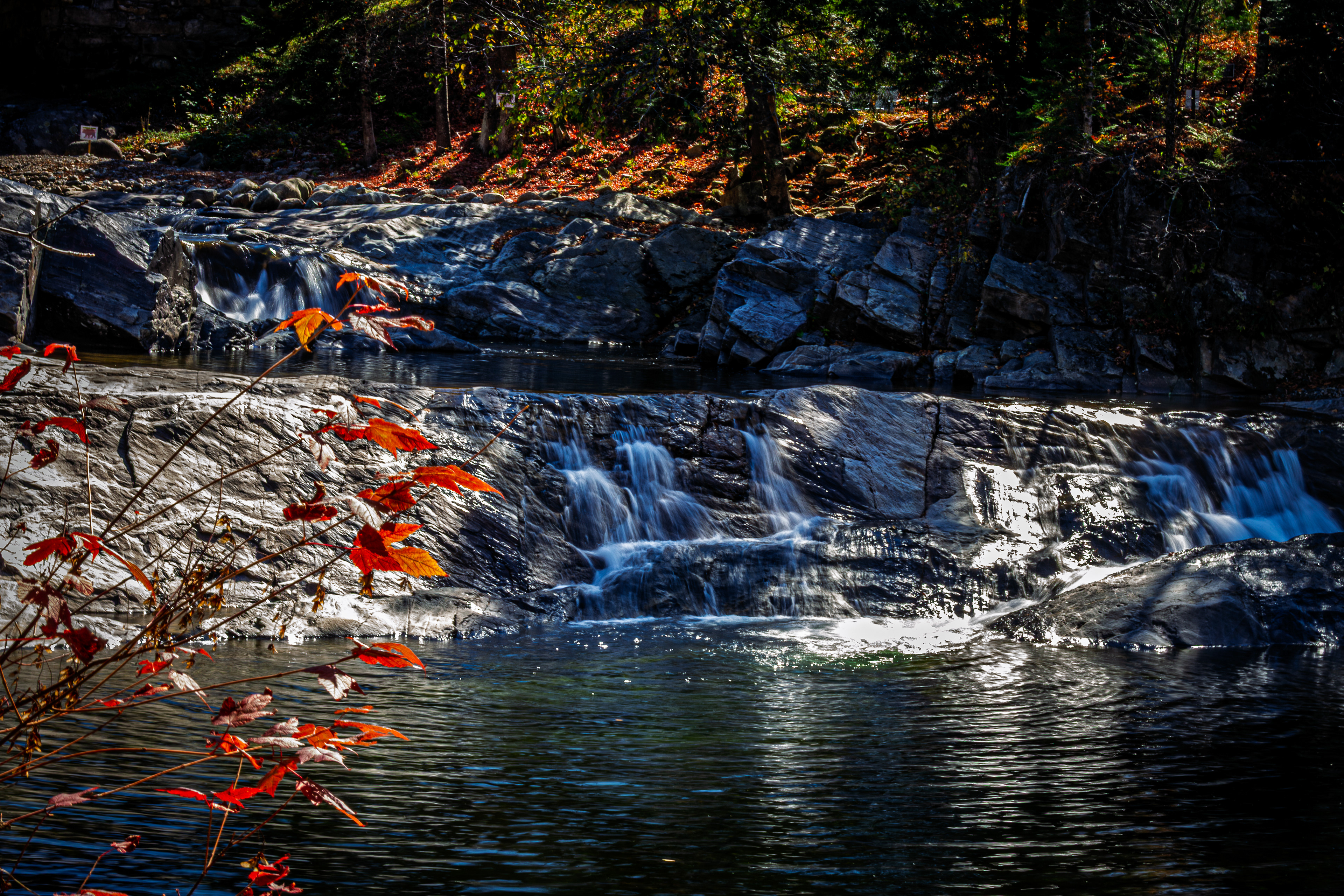 Wild Ammonoosuc River No8