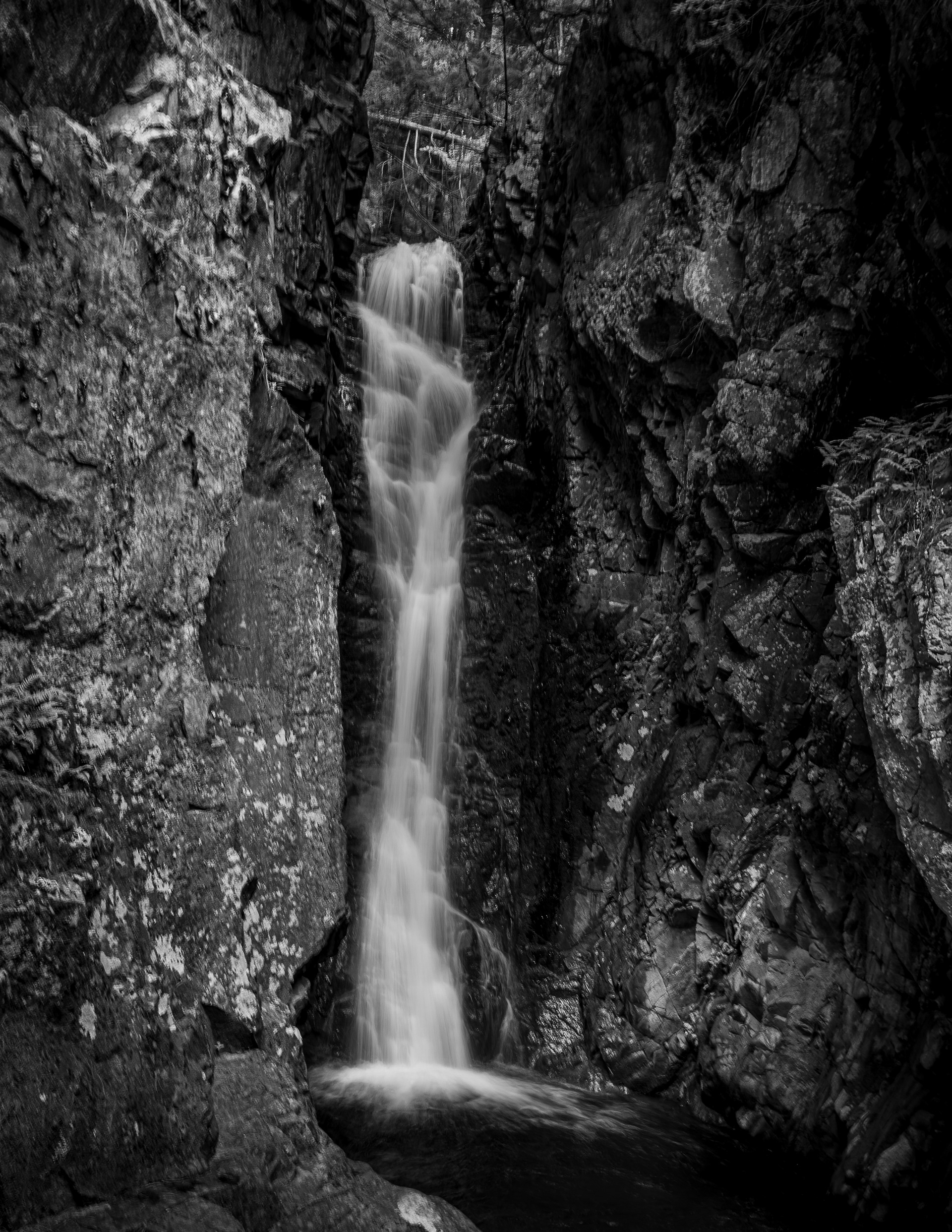 Falls of Song at CITC in Black & White