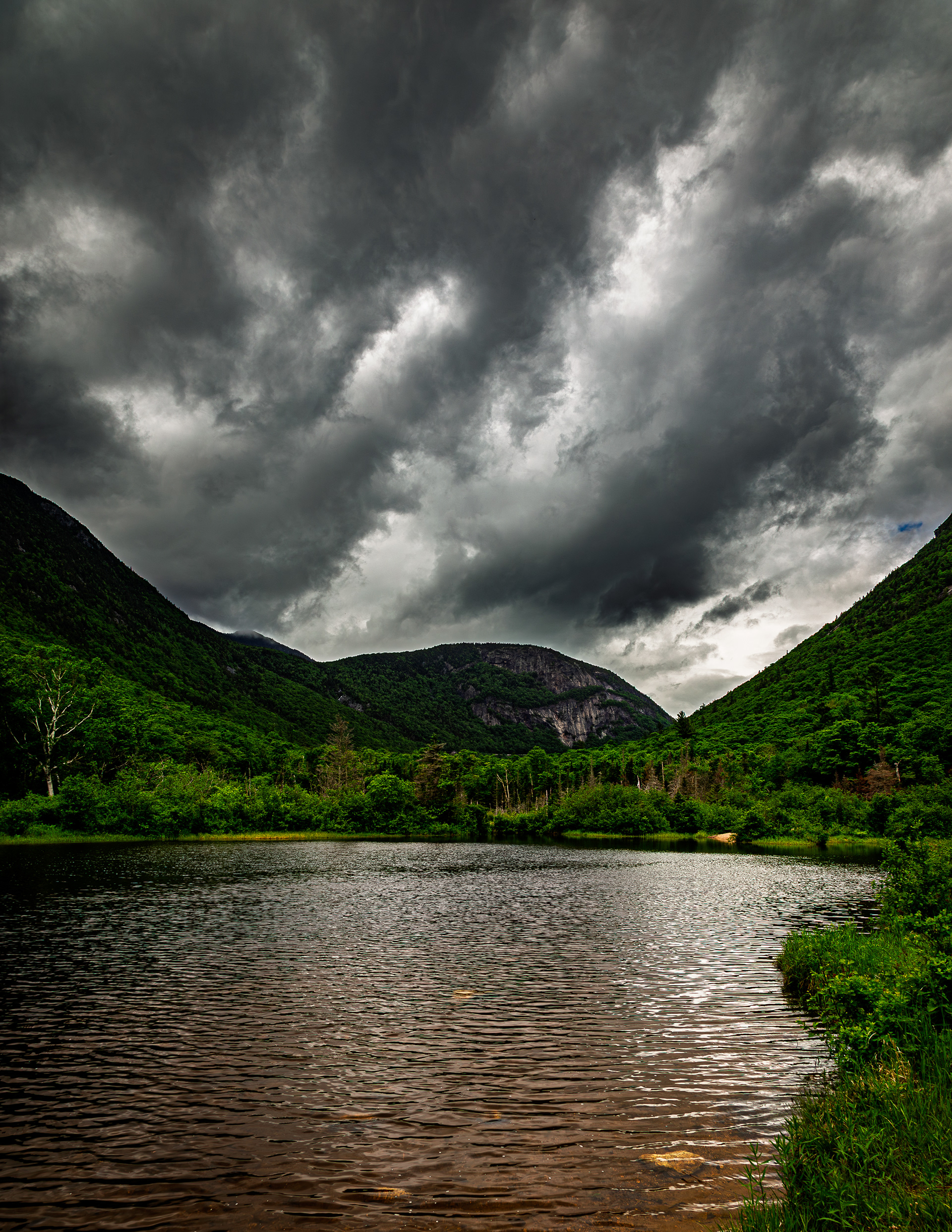 Willey Pond No14