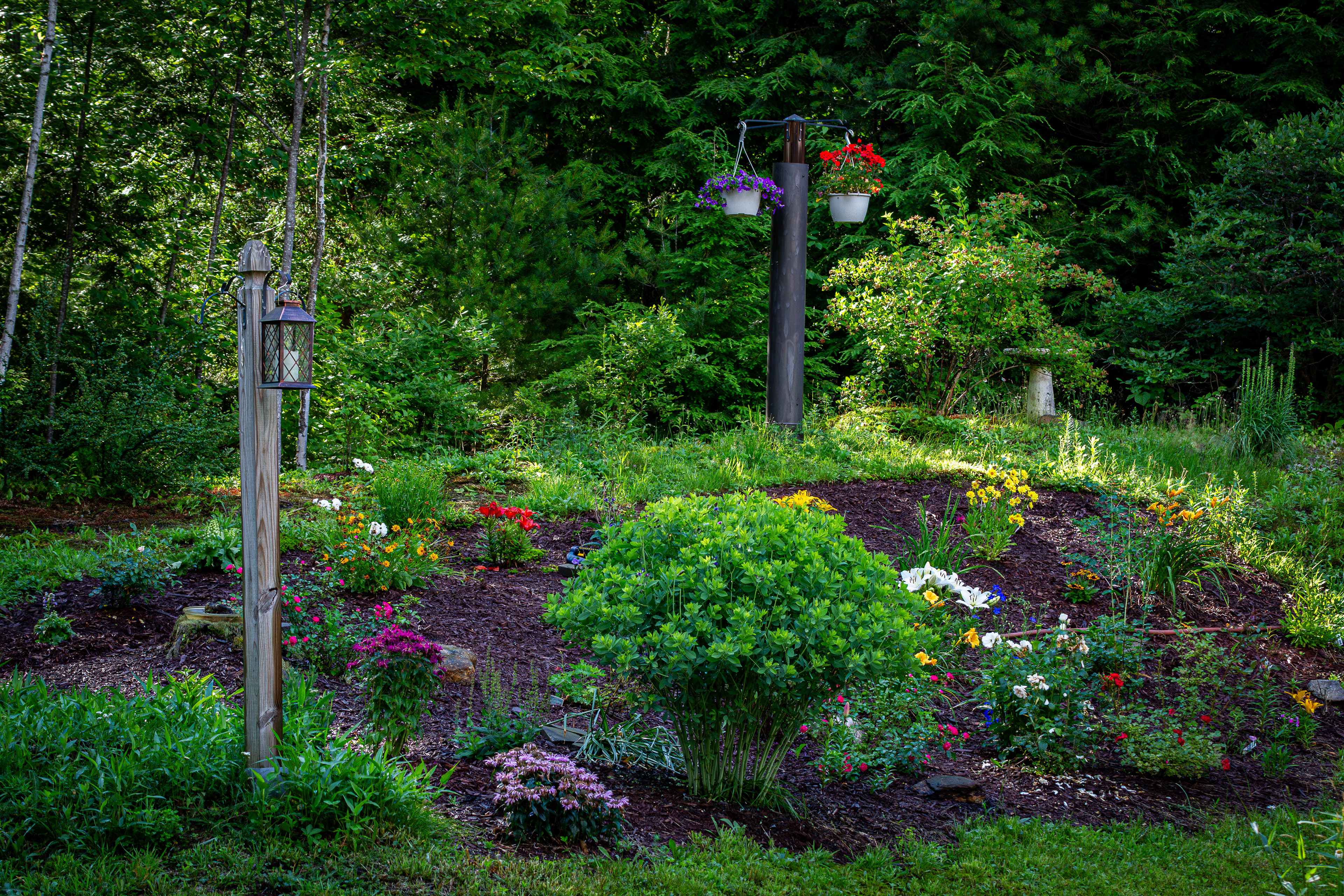 Perennial Garden - July 06, 2025