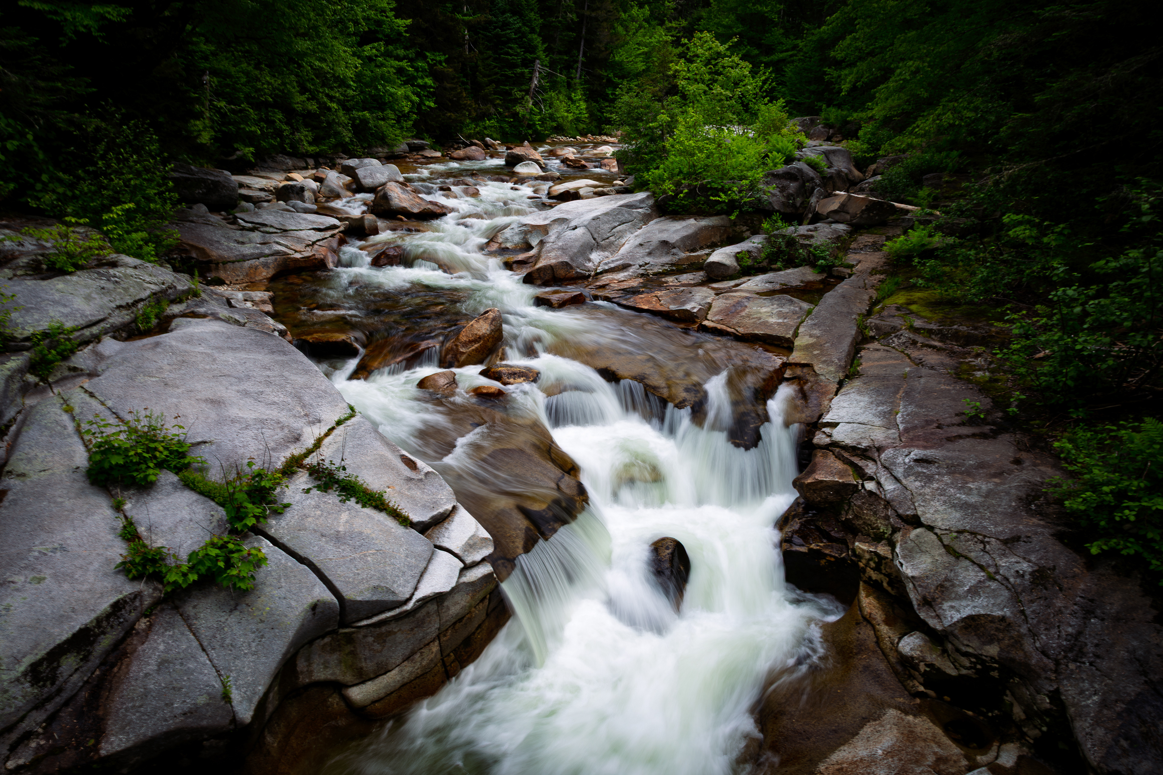 Upper Ammonoosuc Falls No3 - June 15, 2025