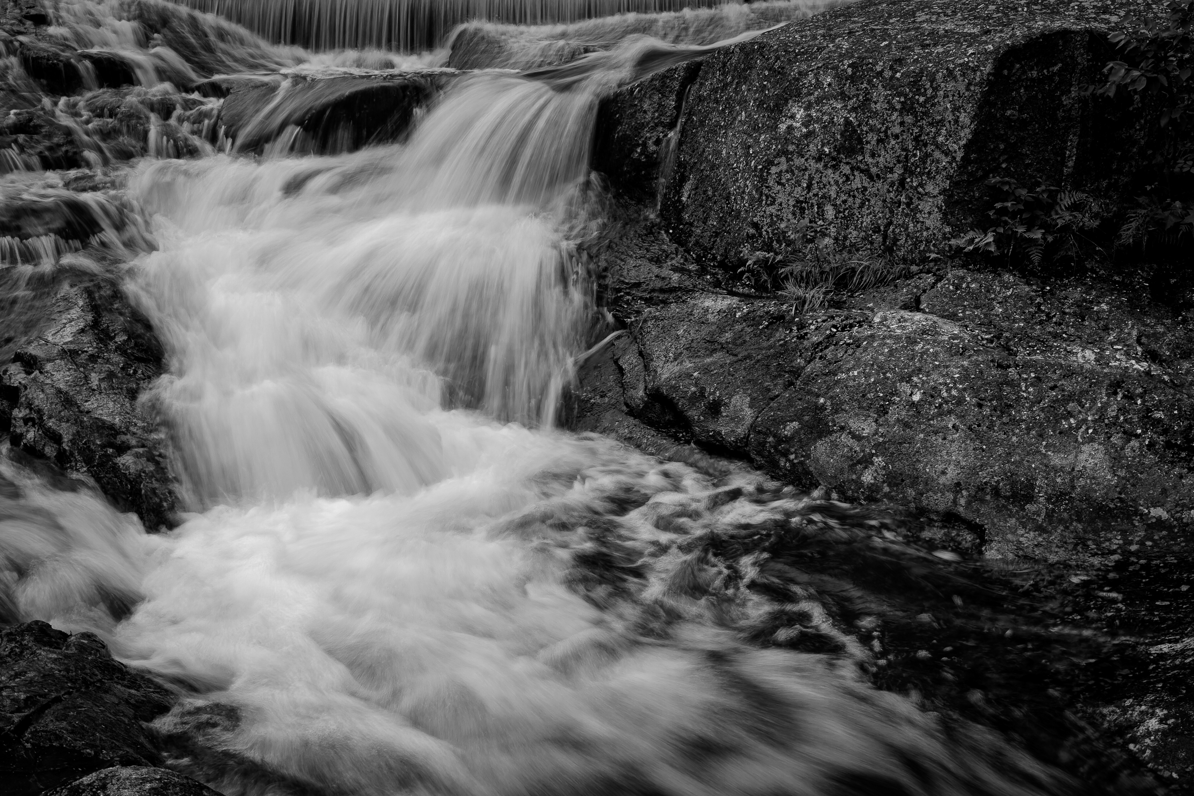Beaver Pond Dam No11