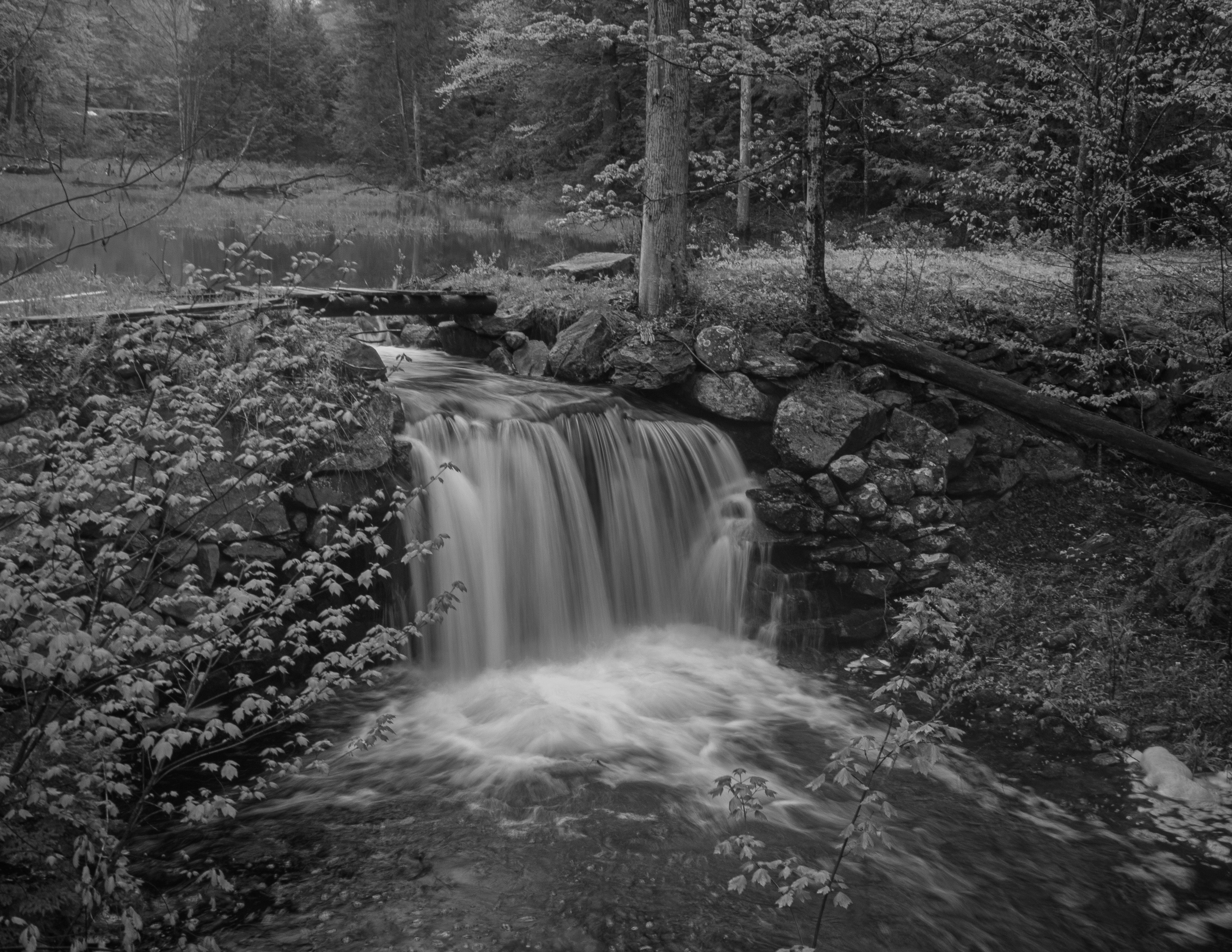 Jones Millhouse Falls No5