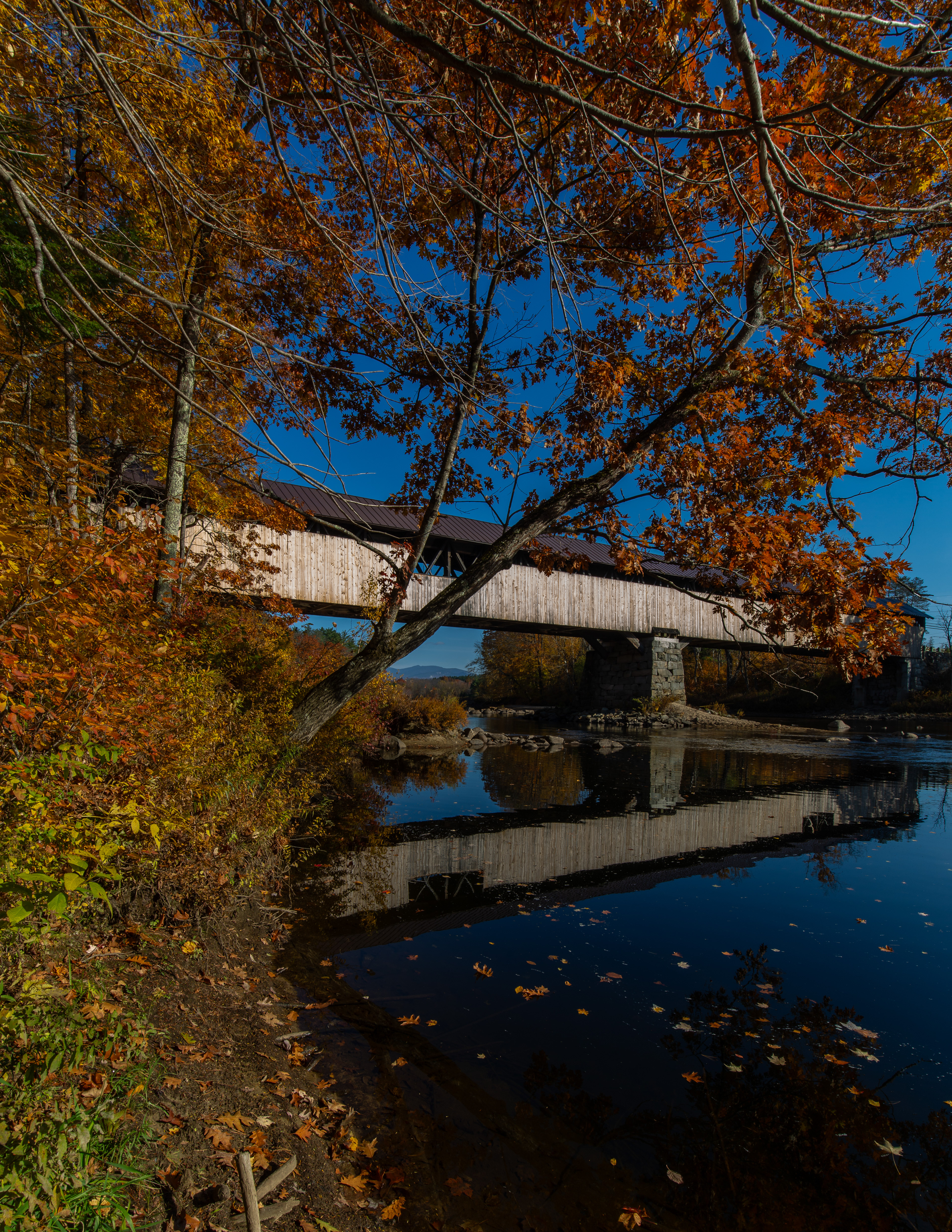 Blair Bridge - October 22, 2024