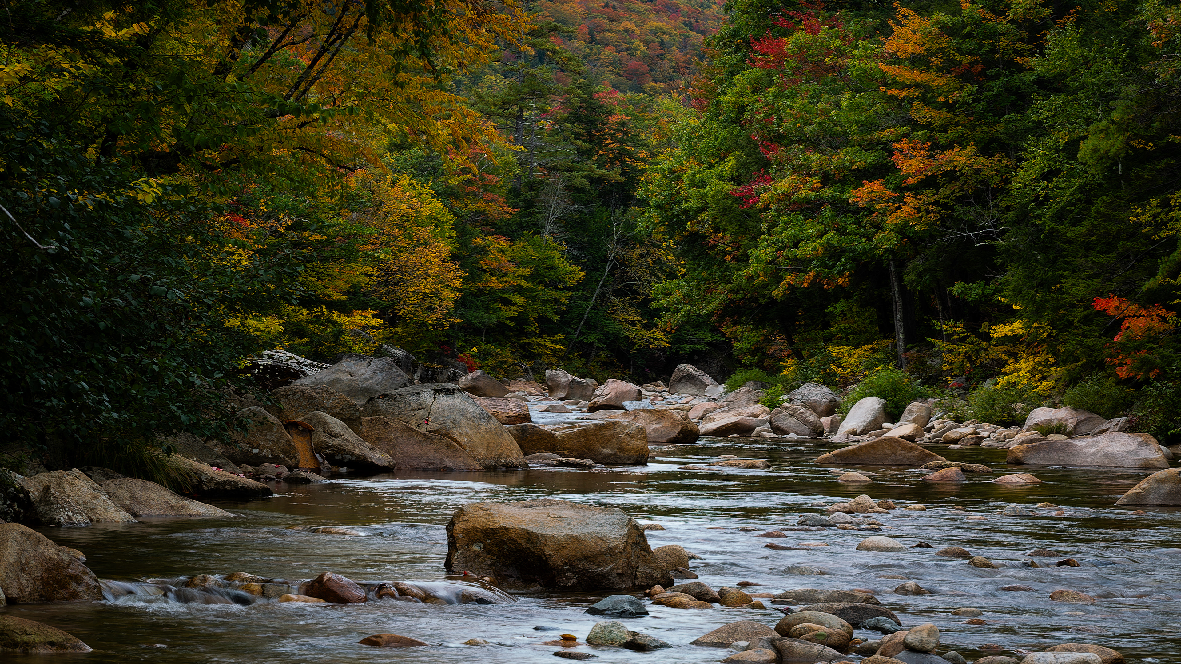 Saco River at Harts Location No1 - September 30, 2026