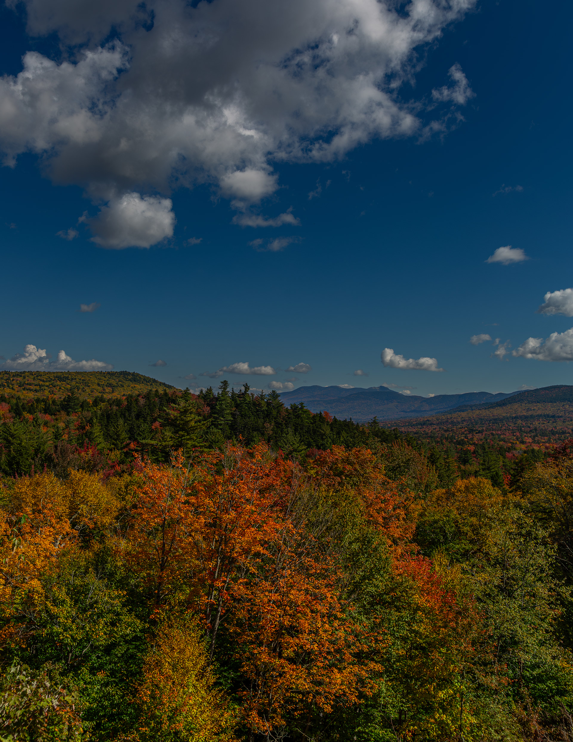 Suger Hill Scenic Vista No2