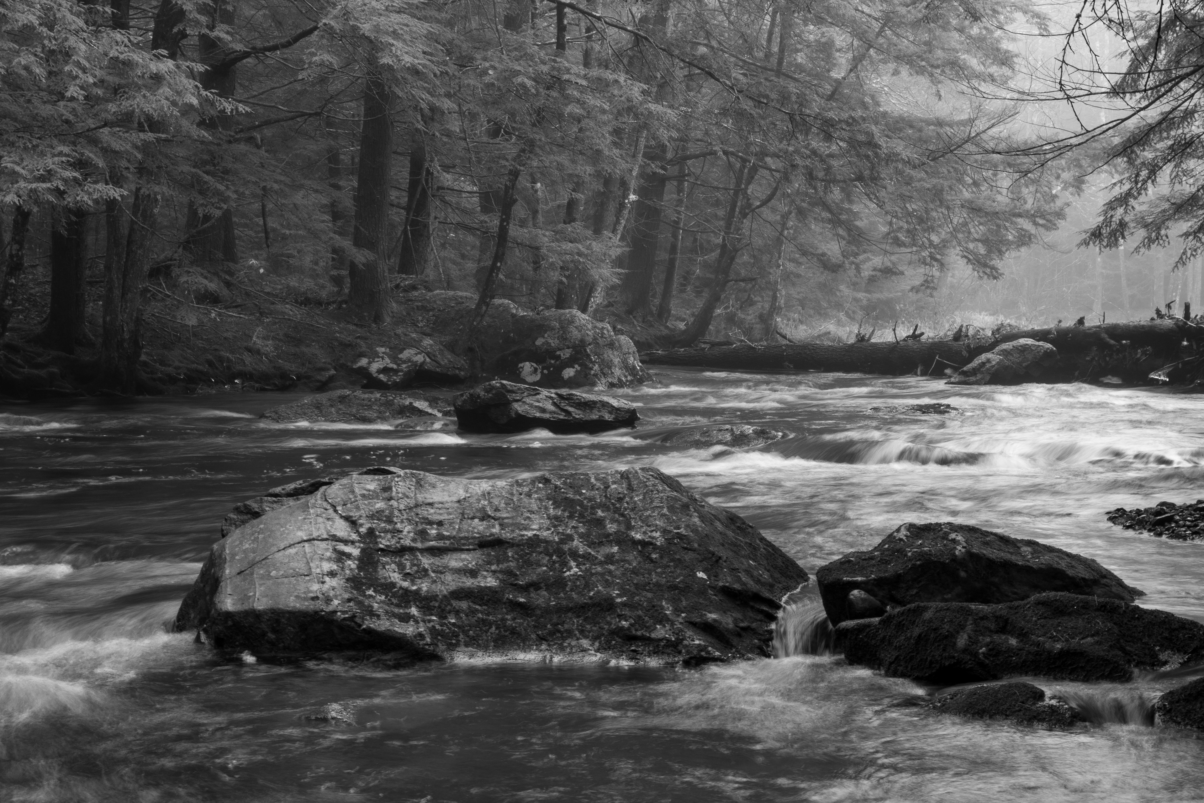 Academy Brook No3