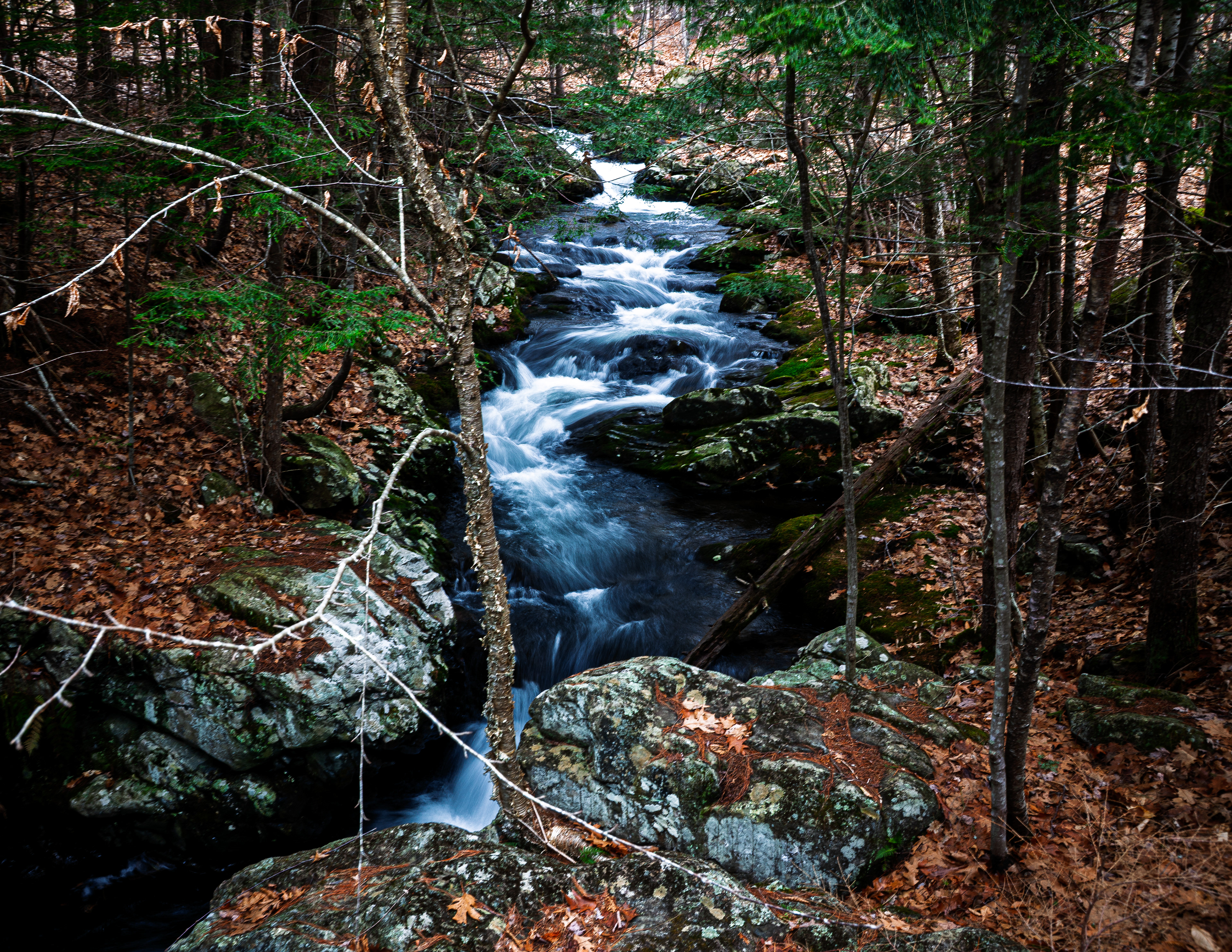 CITC Brook Walk - Cascade No8