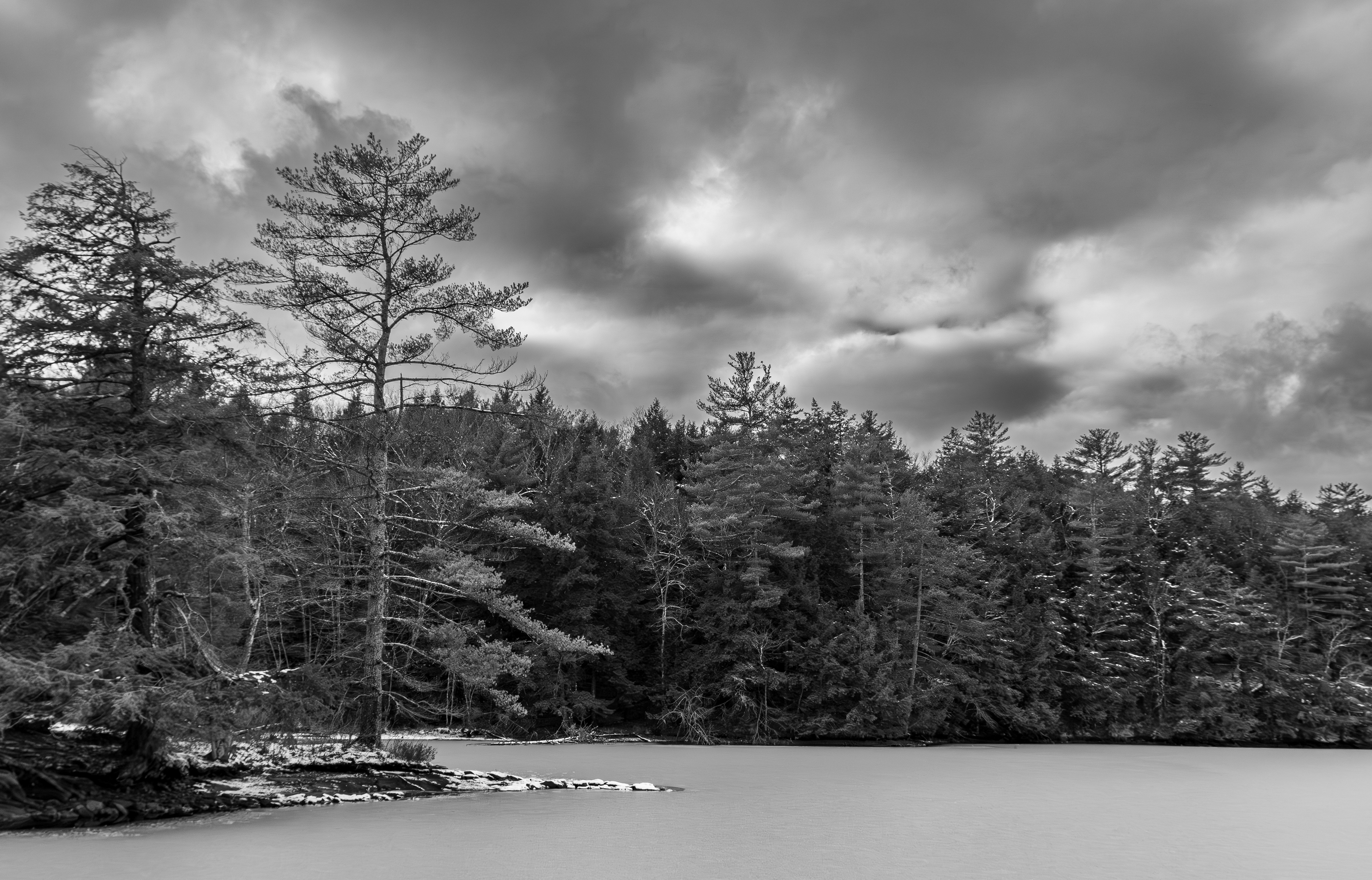 Shellcamp Pond No3 - November 29, 2024