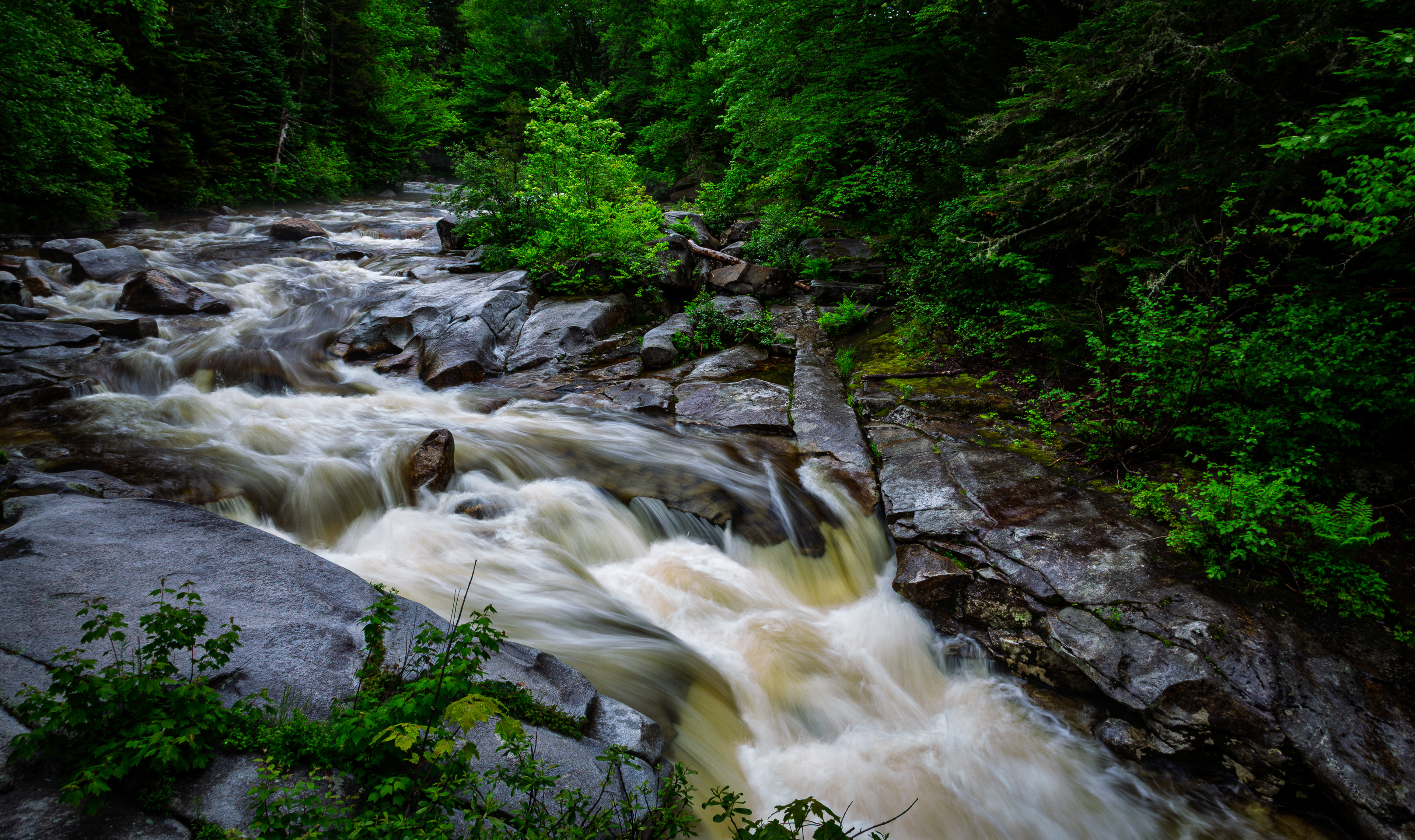 Upper Ammonoosuc Falls No10
