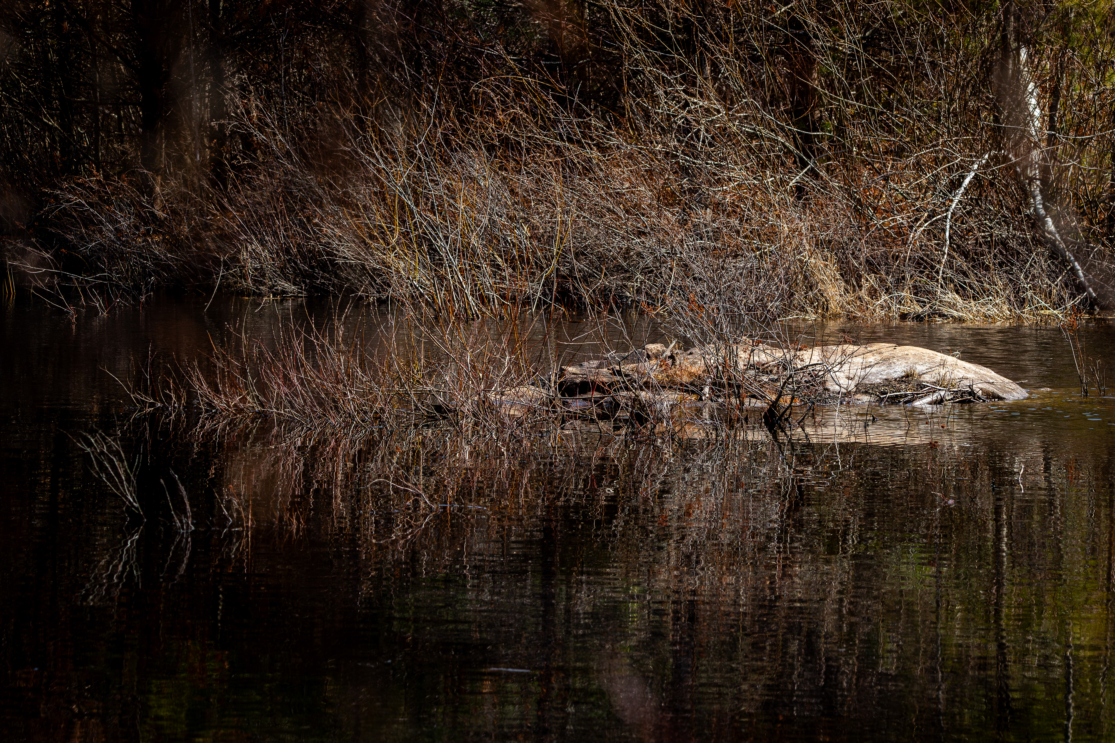 Boulder in Factory Pond at CSV No1