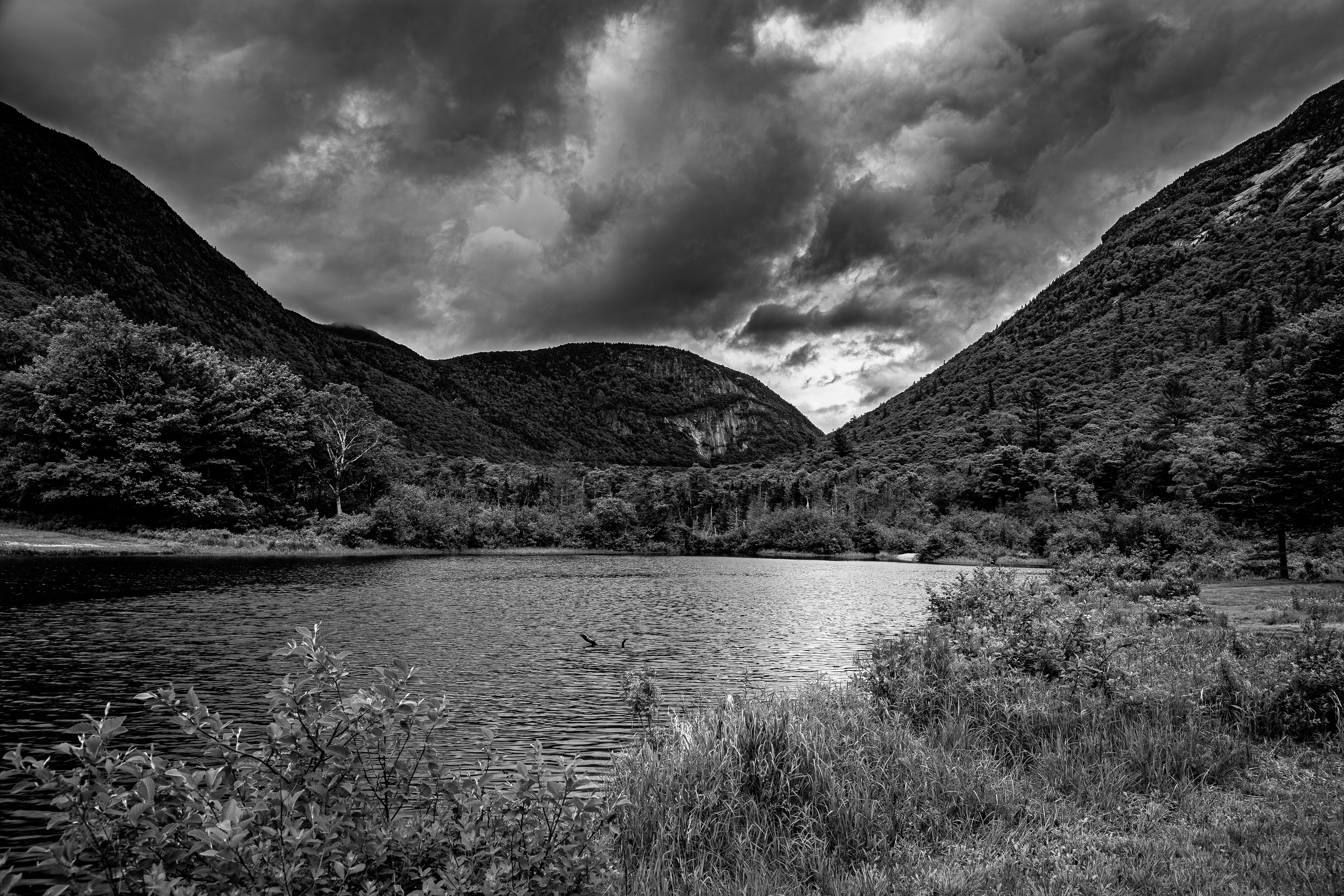 Willey Pond No9