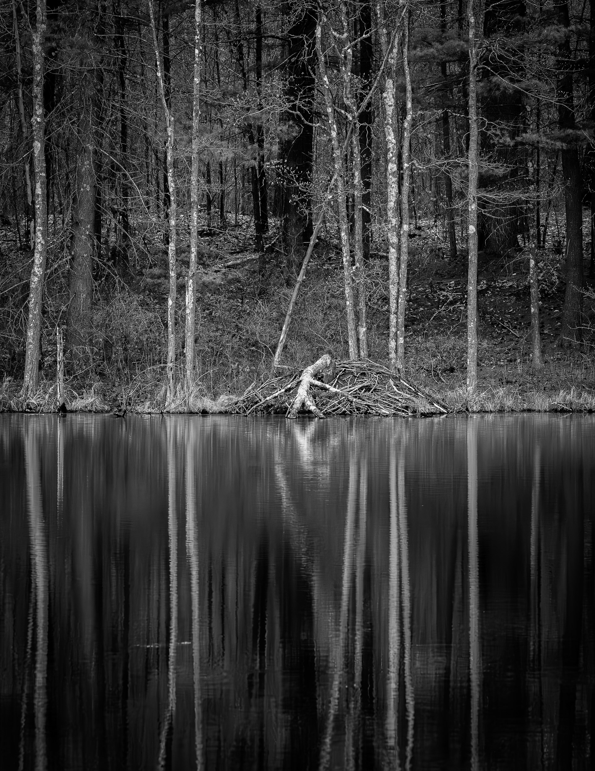 Reflections in Black & White