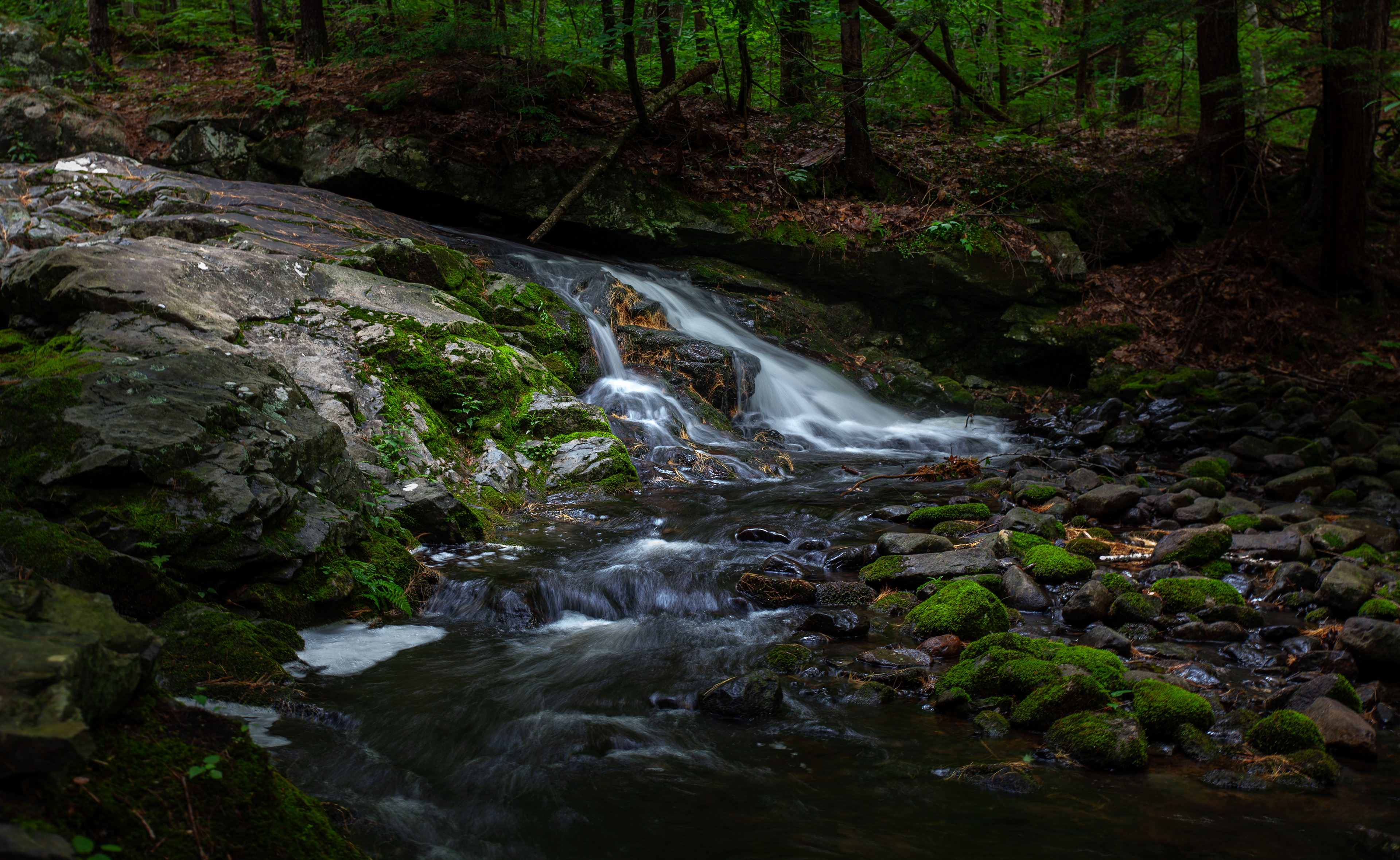 Unnamed Cascade at CITC - June 24, 2024