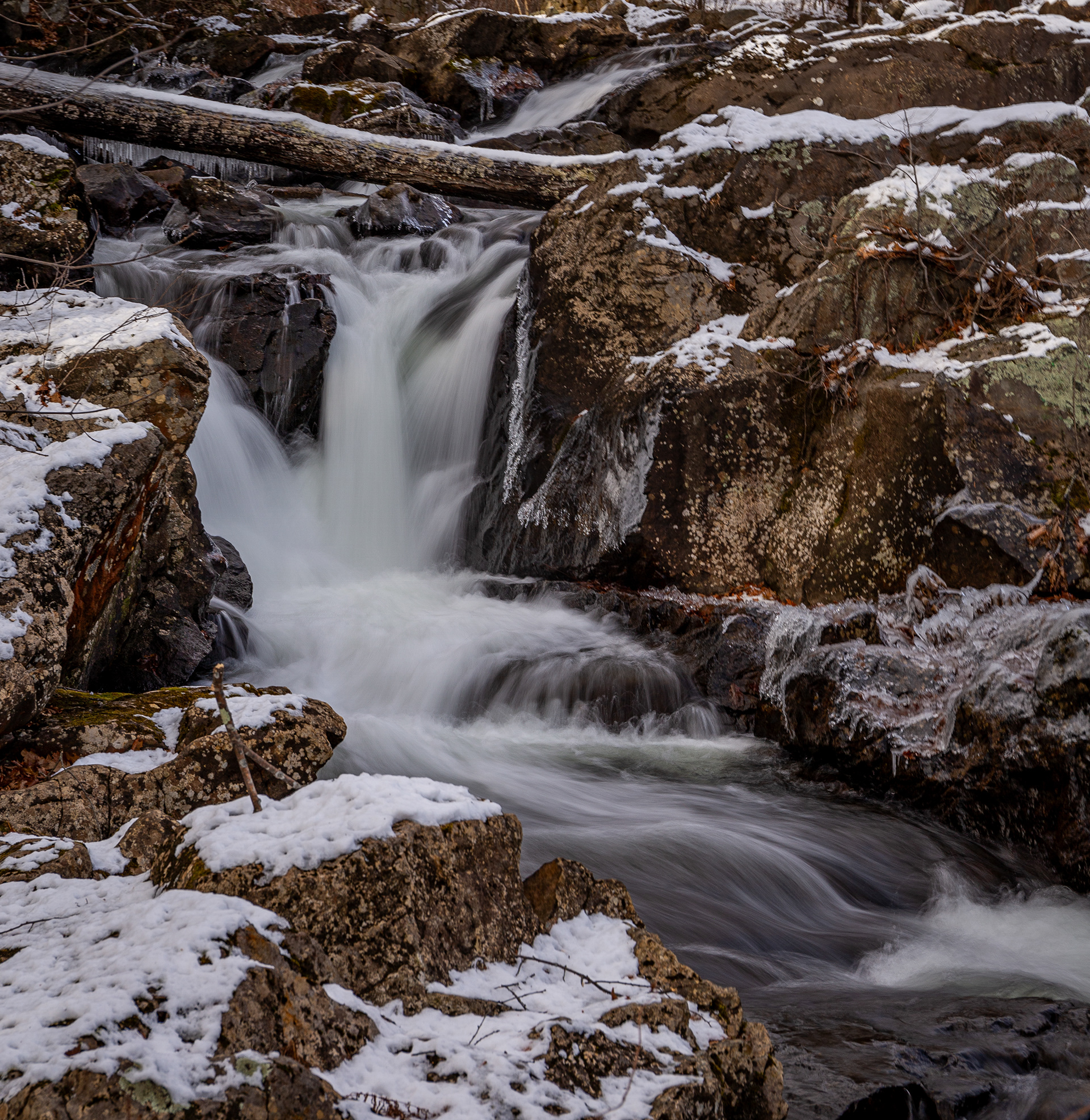 Bristol Falls Park 12-3-2024 No10