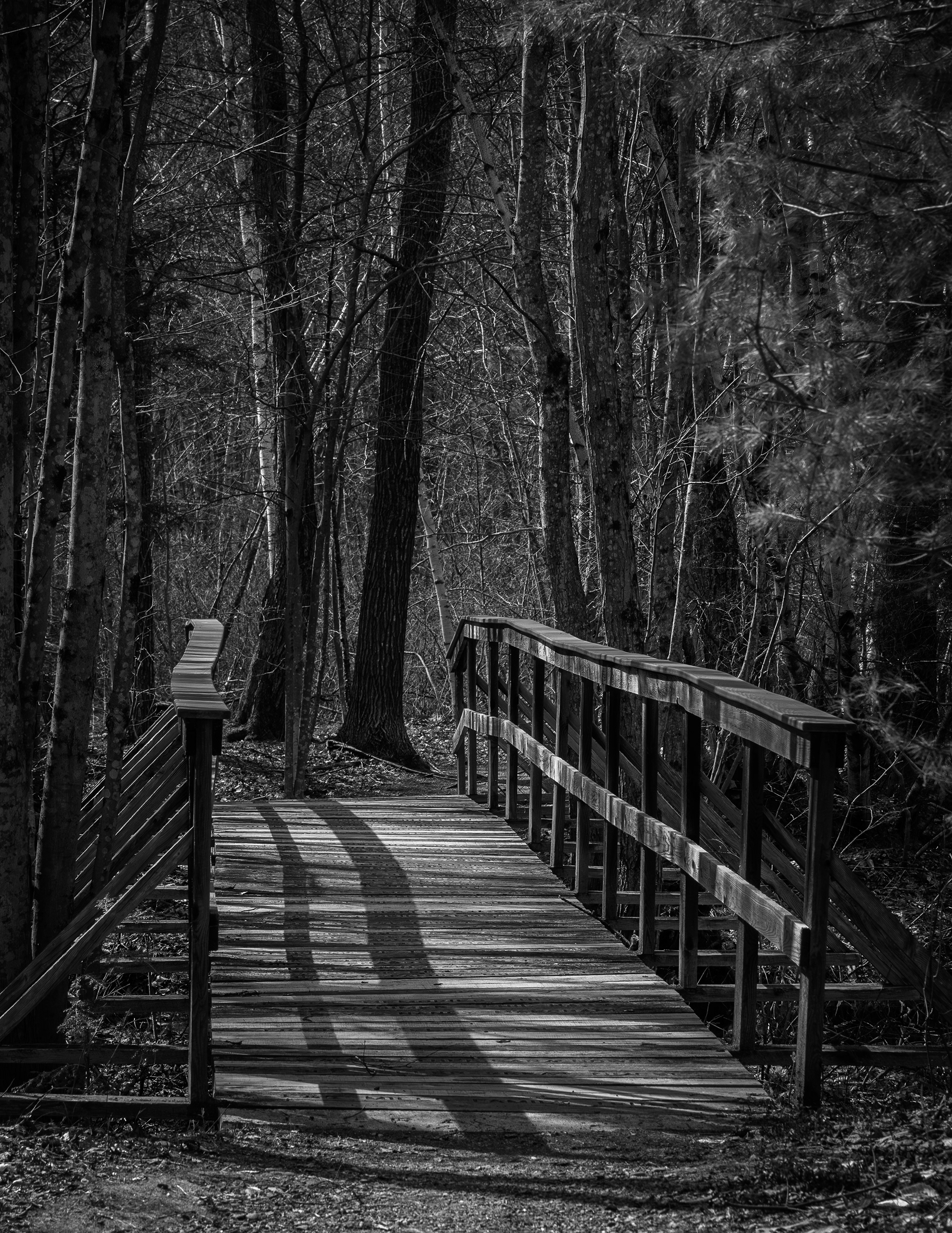 Bridge at Grey Rocks No1