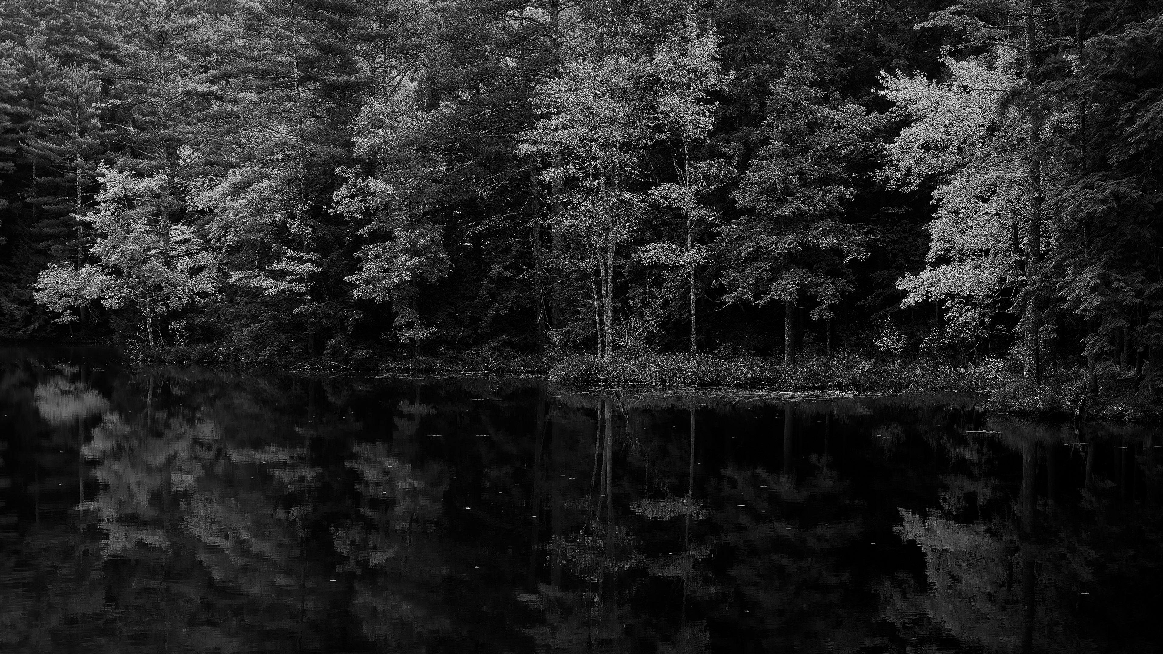 Meadow Pond Reflections No2 - October 8, 2026