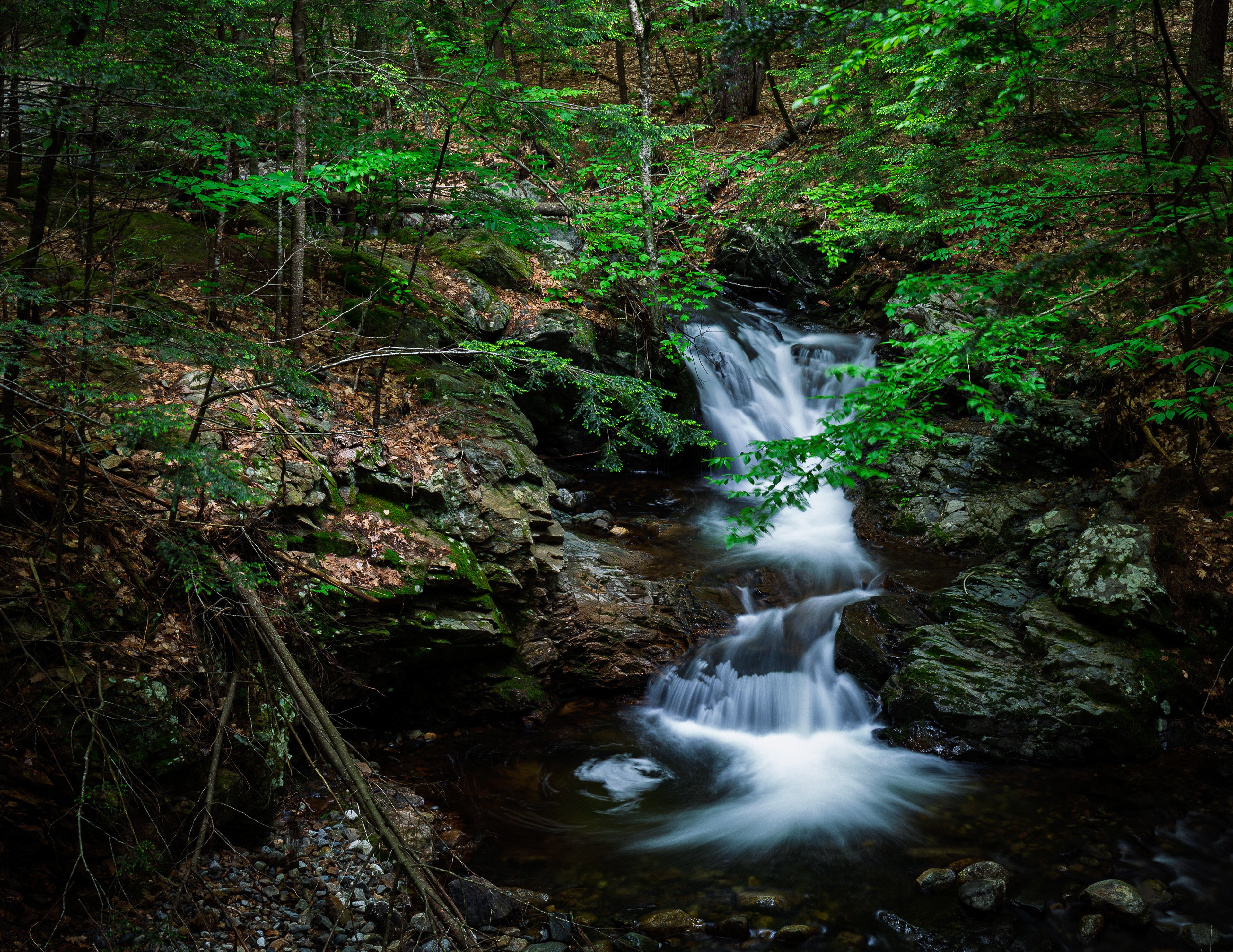 Whittier Falls at CITC - June 9, 2025