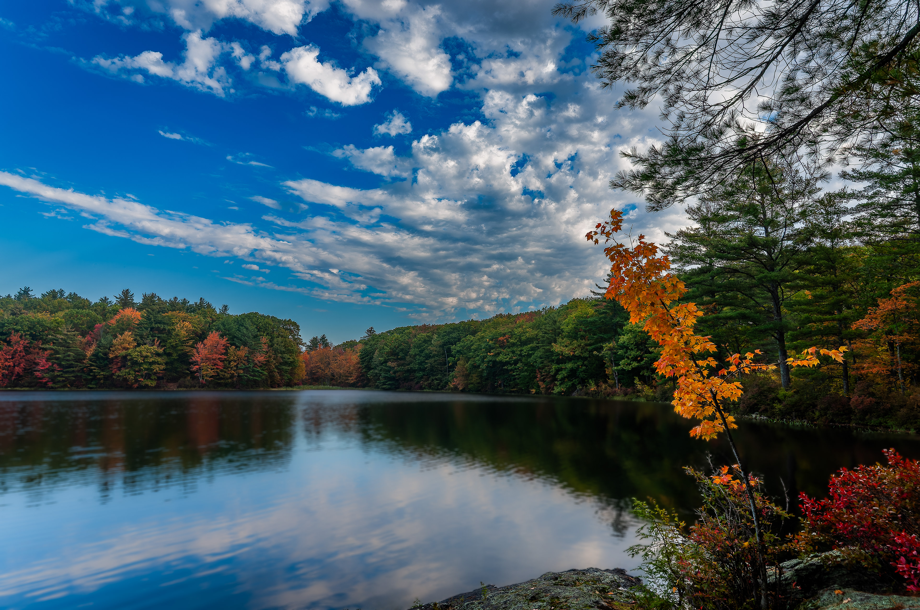Meetinghouse Pond - October 8, 2026