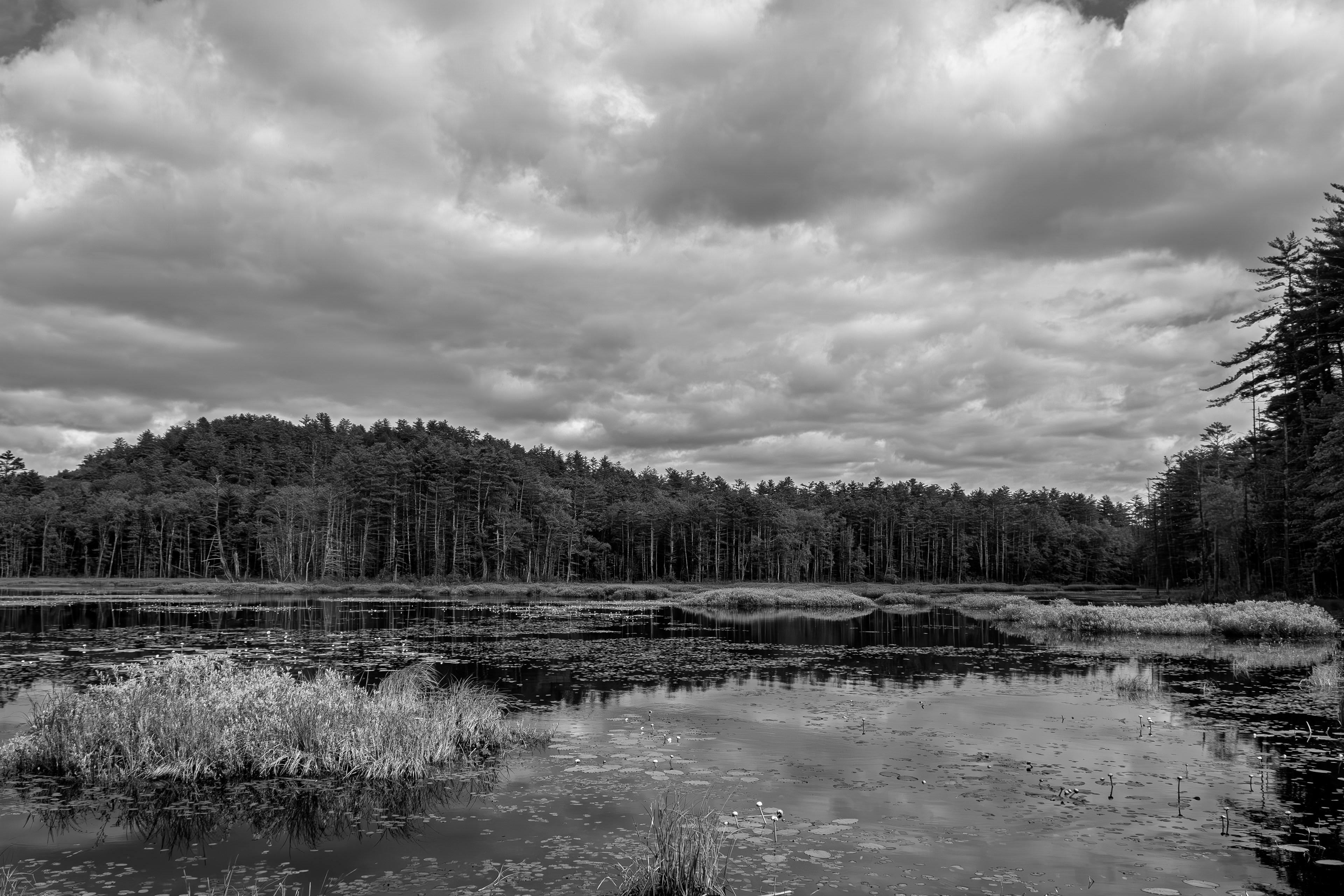 Quincy Bog No1 - May 30, 2026