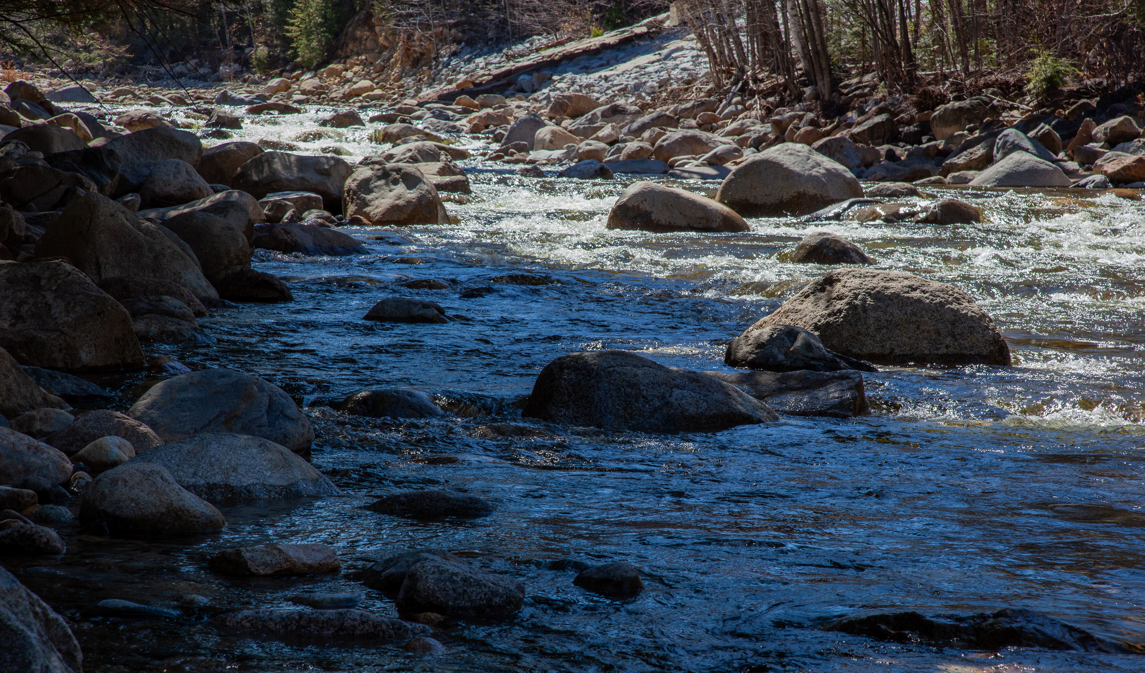 Sawyer River at Fourth Iron Campground