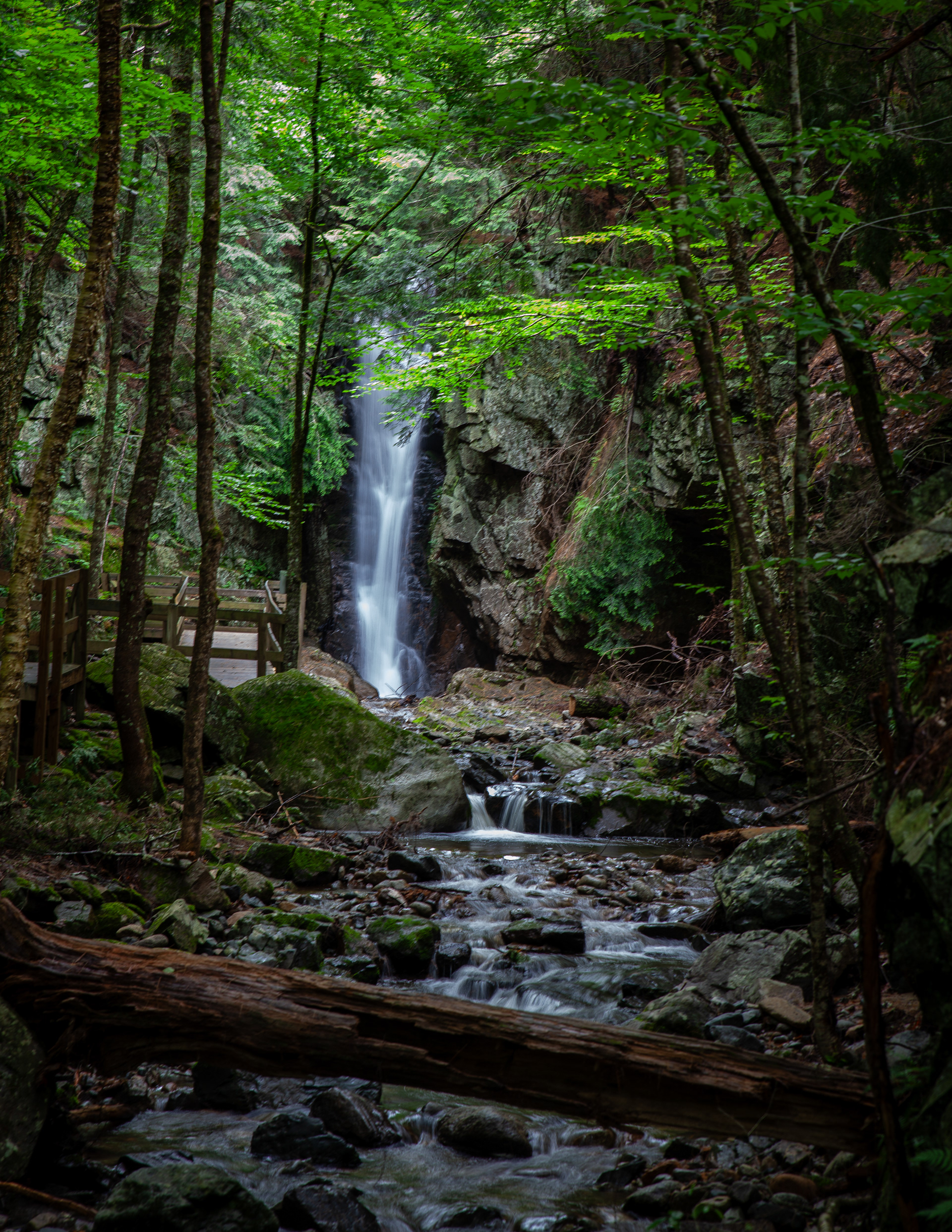 Falls of Song 2024 No3