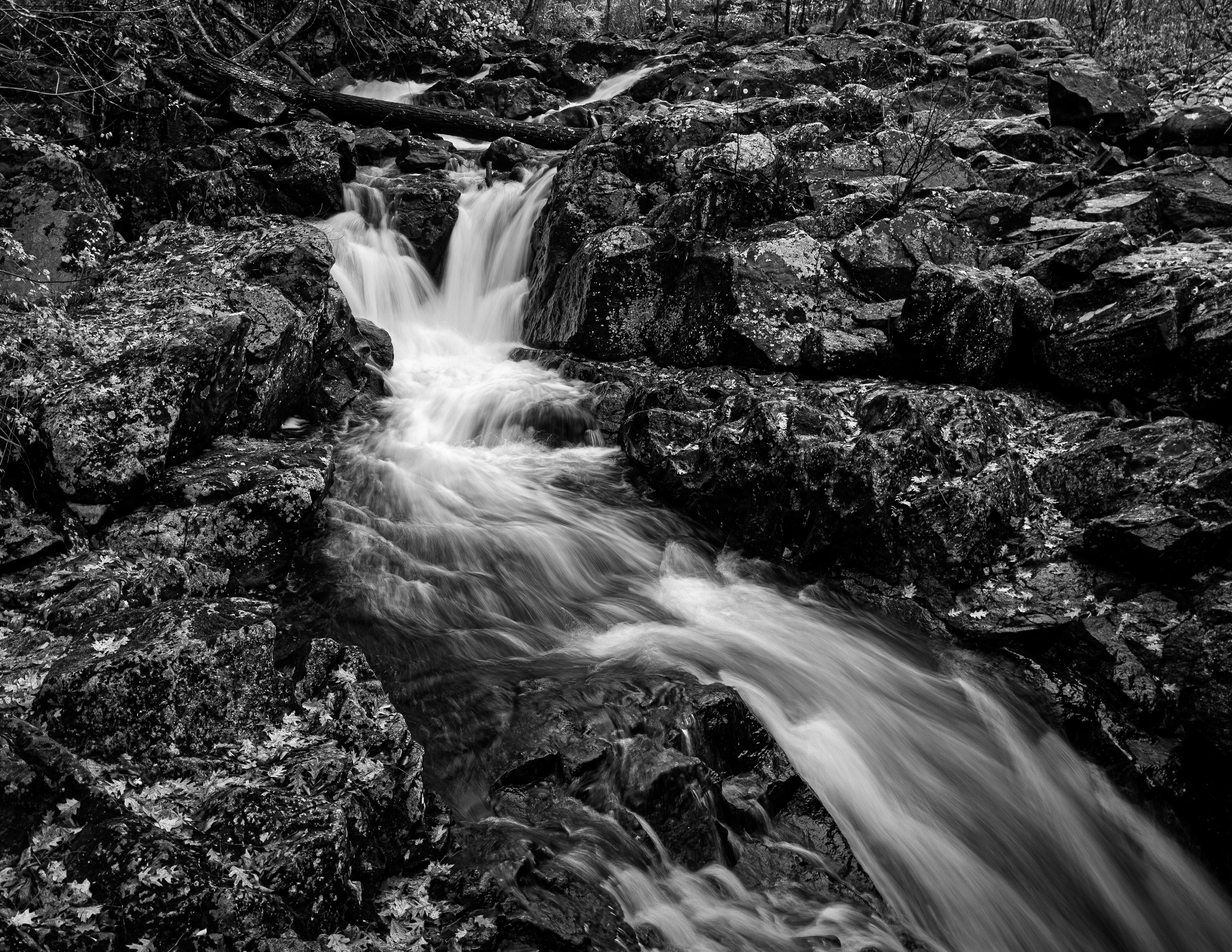 Bristol Falls Park No11