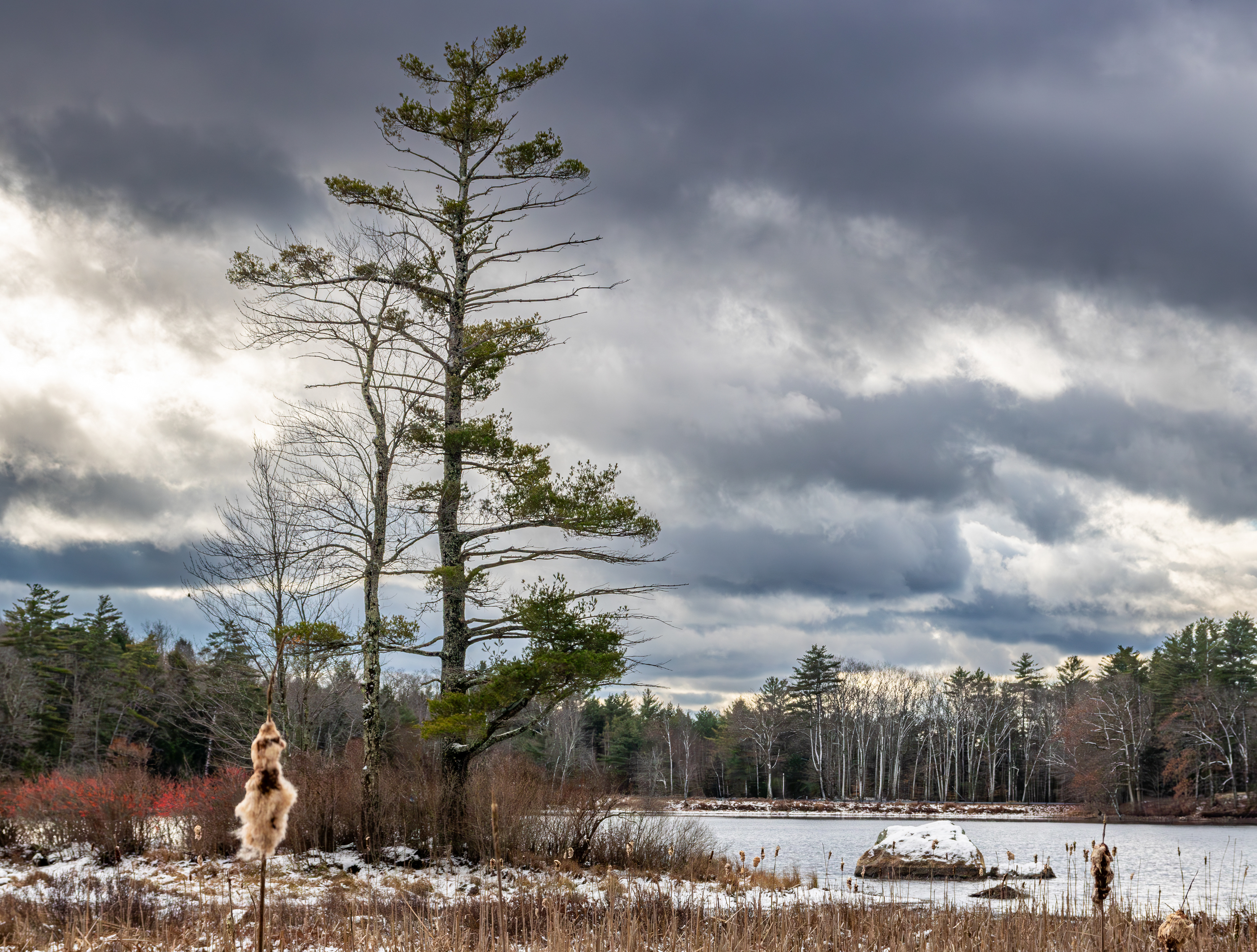 Rollins Pond No5