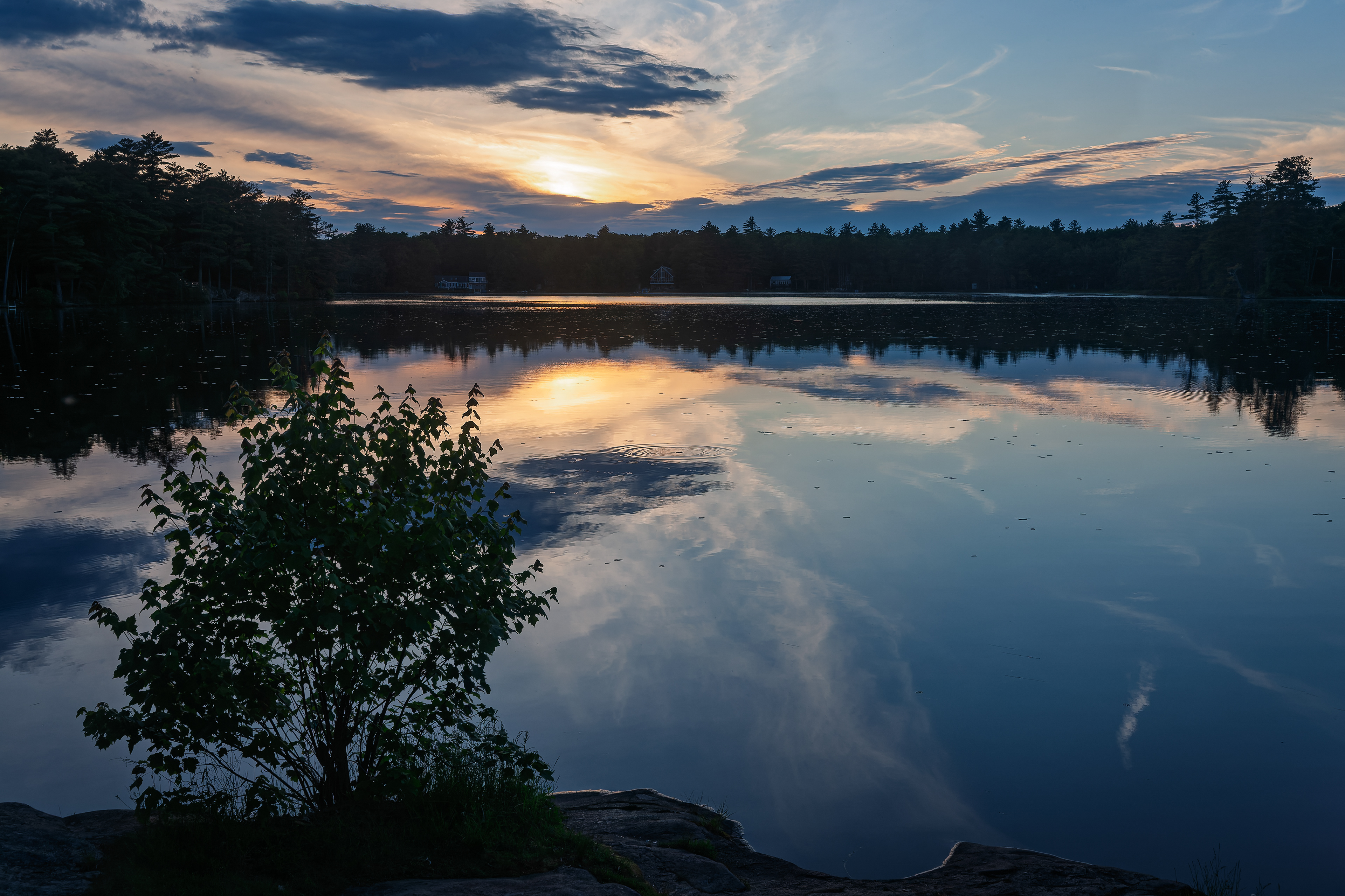 Shellcamp Sunset No1