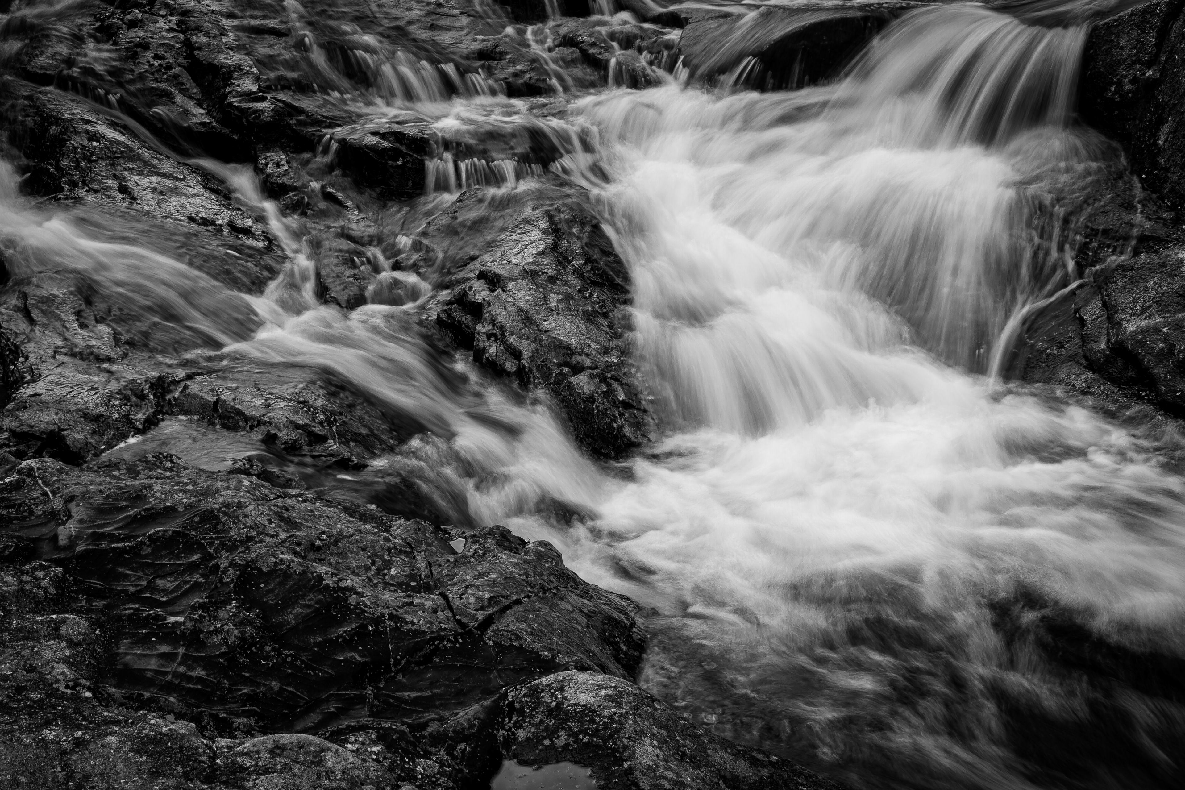 Beaver Pond Dam No9