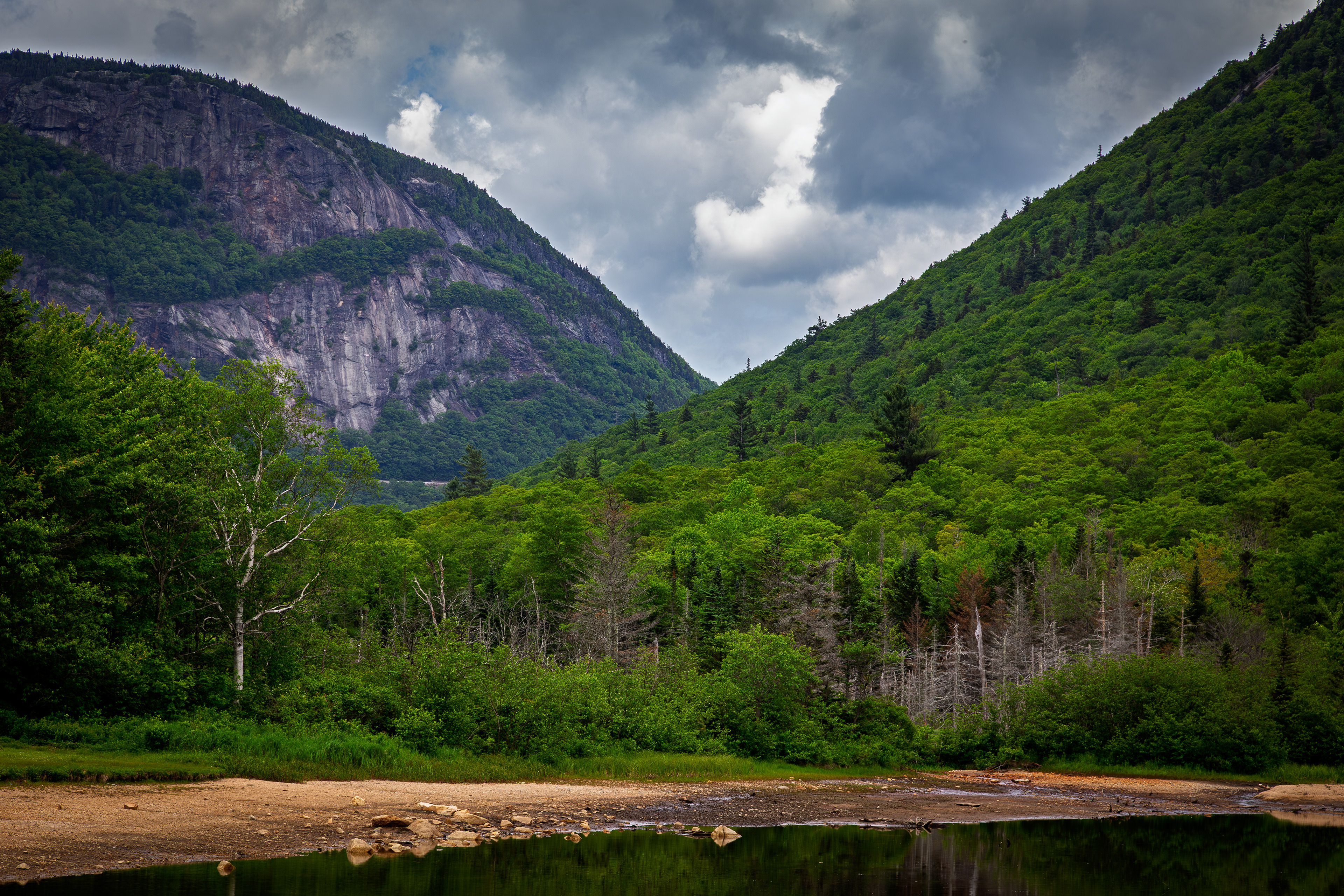 Mount Willard from Willey Pond No4