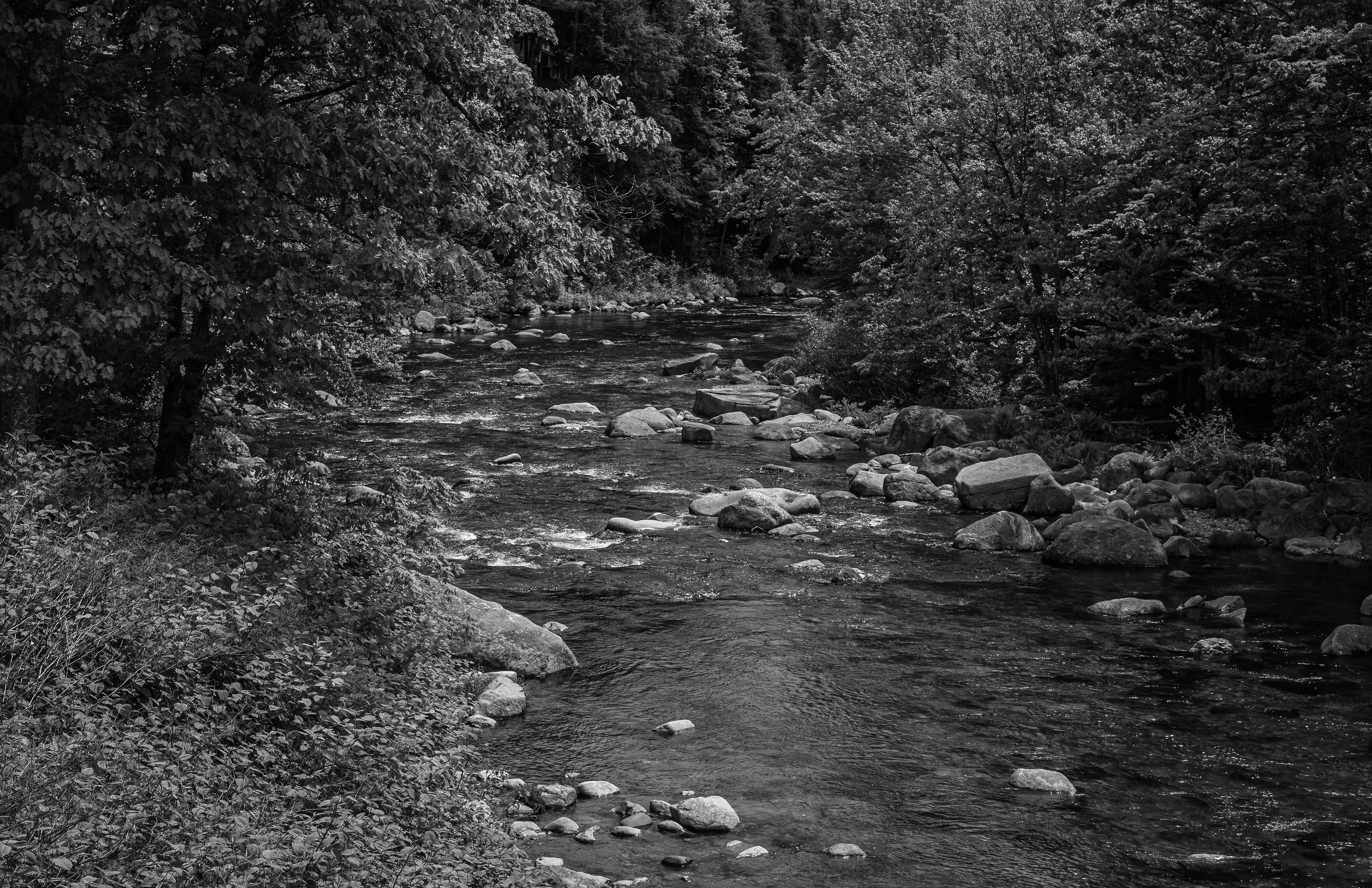 Ellis River No1