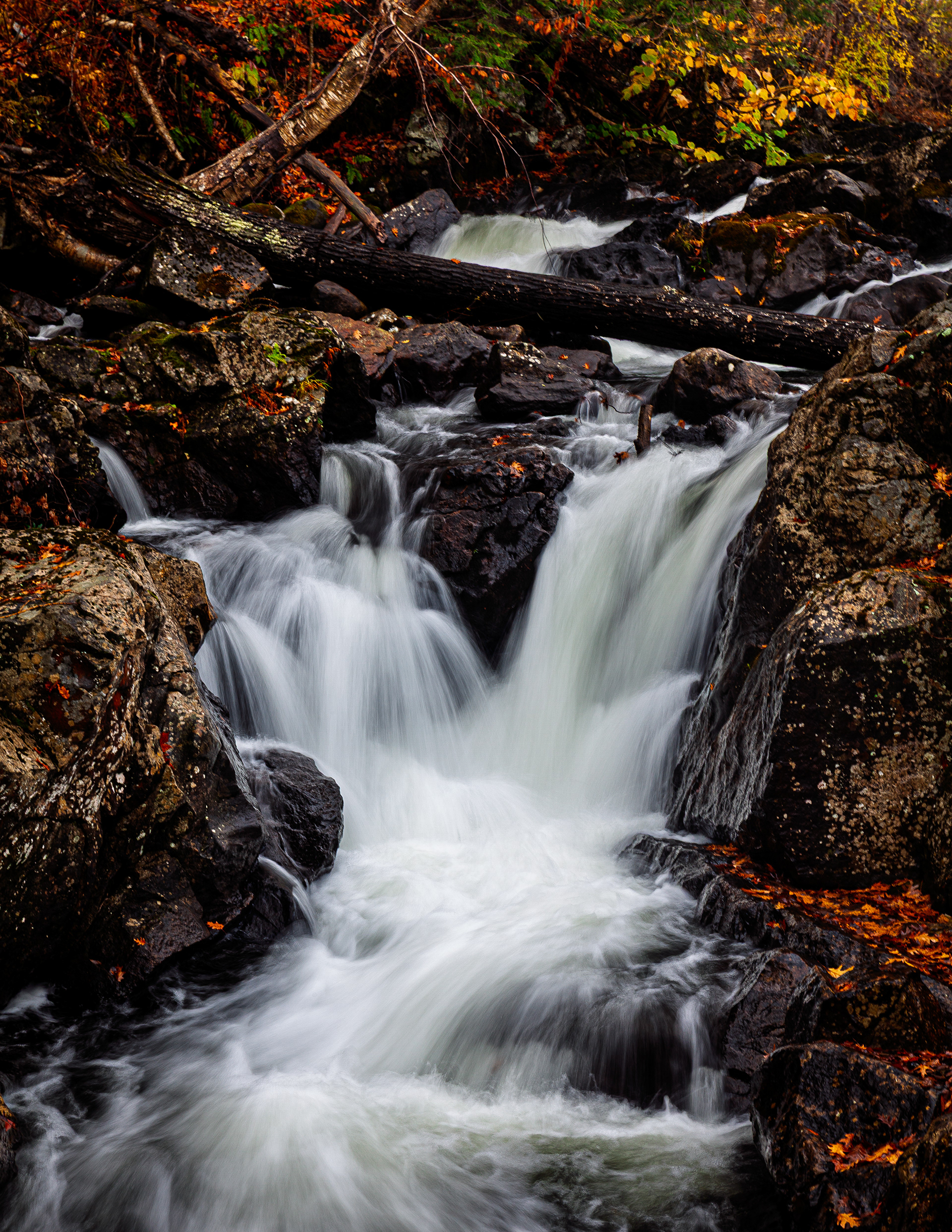 Bristol Falls Park No20