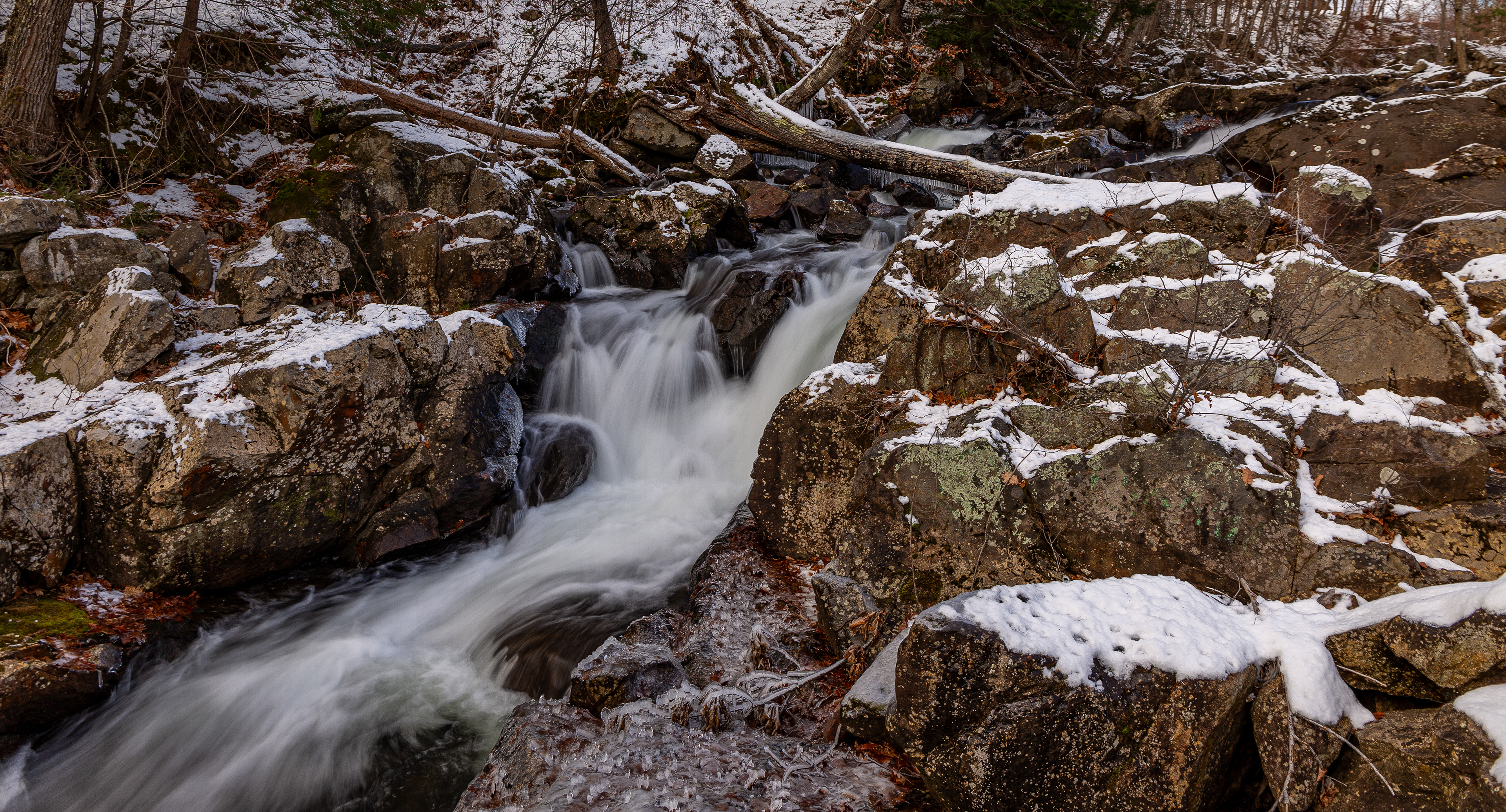 Bristol Falls Park 12-3-2024 No2