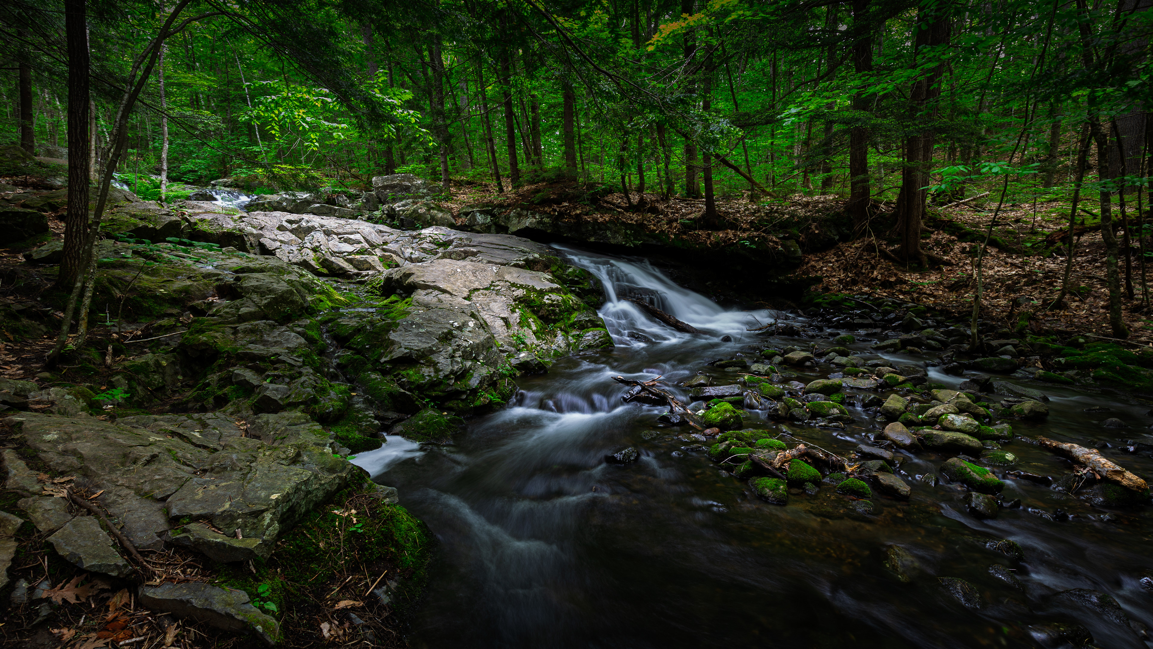 Unnamed Cascade at CITC - June 9, 2025