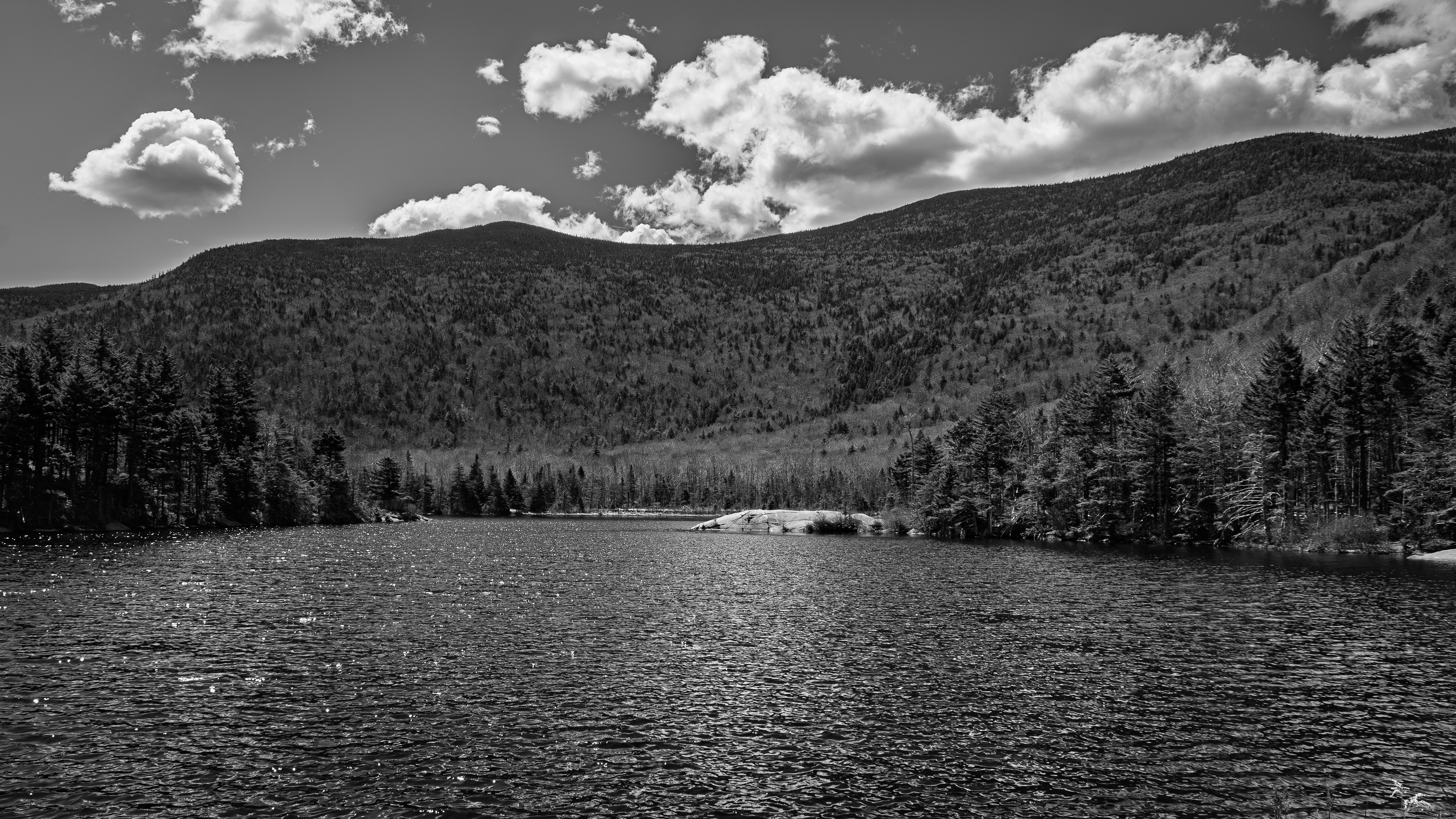 Beaver Pond No1