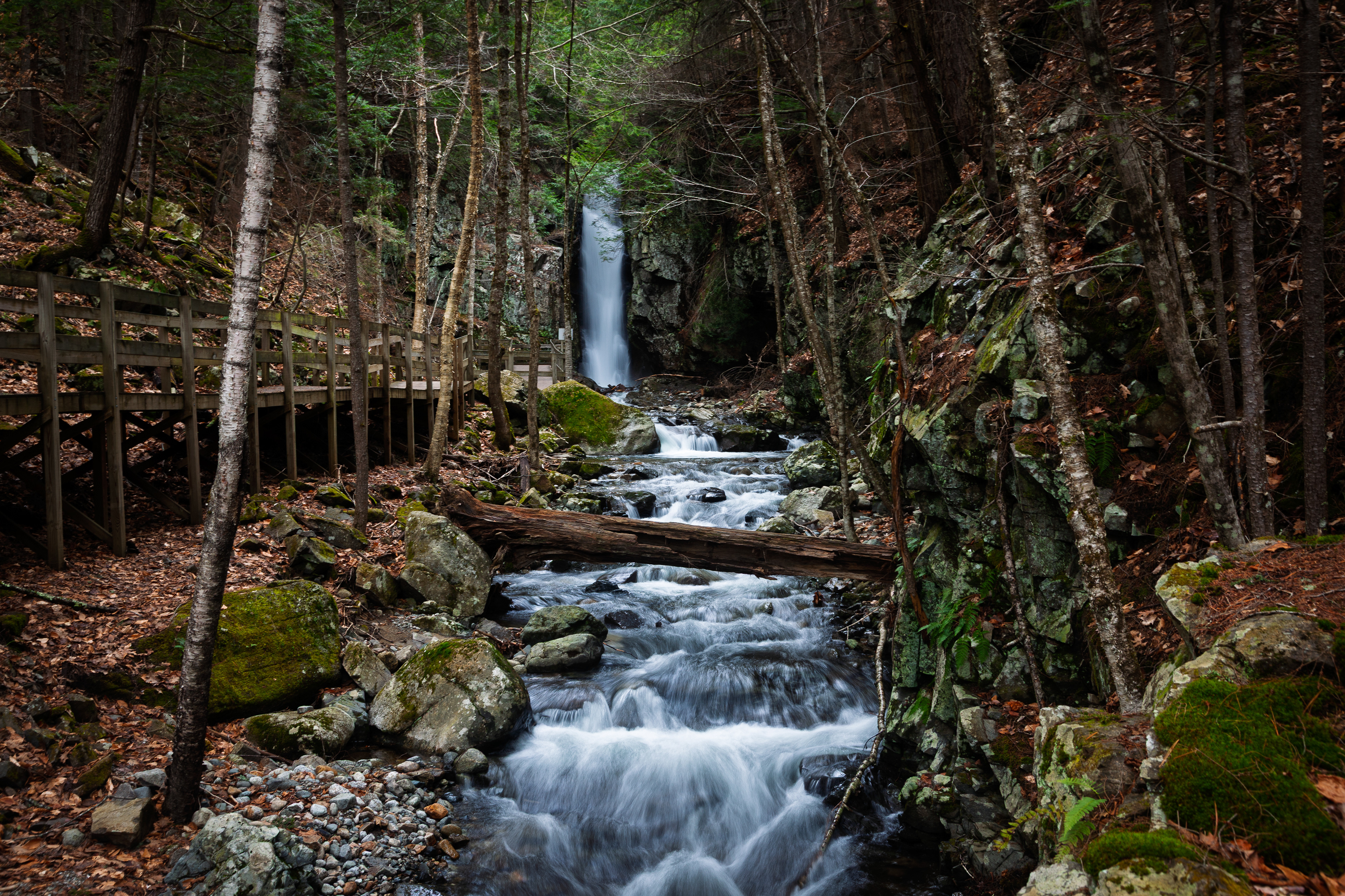 CITC Brook Walk - Falls of Song No36