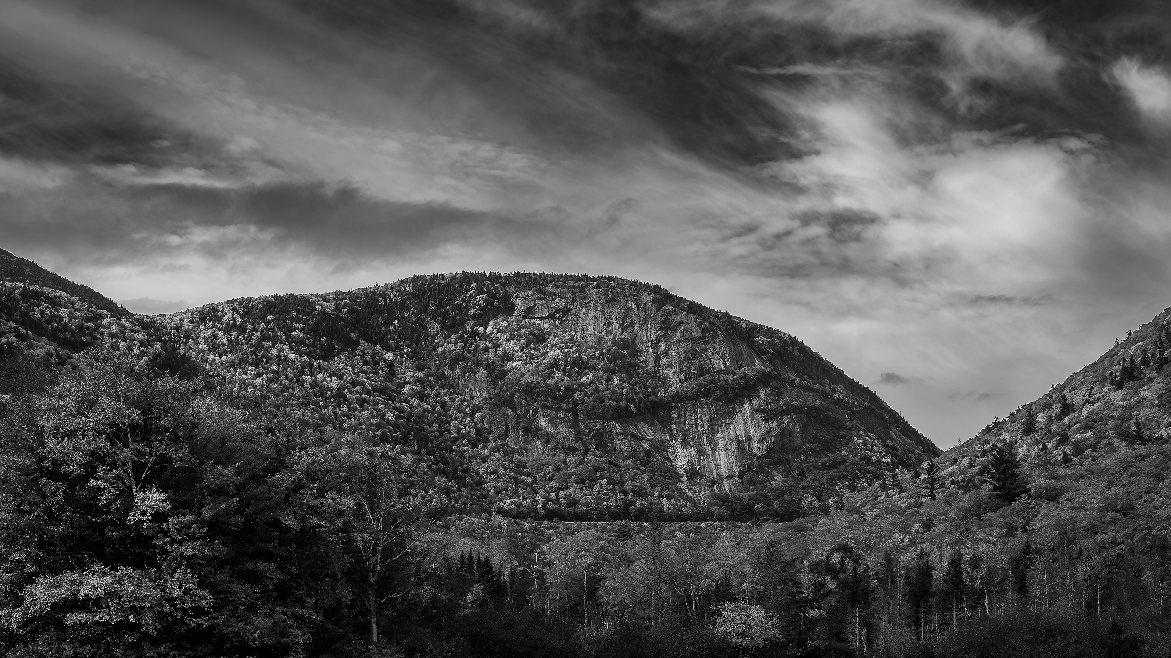 Willey Pond Views No24