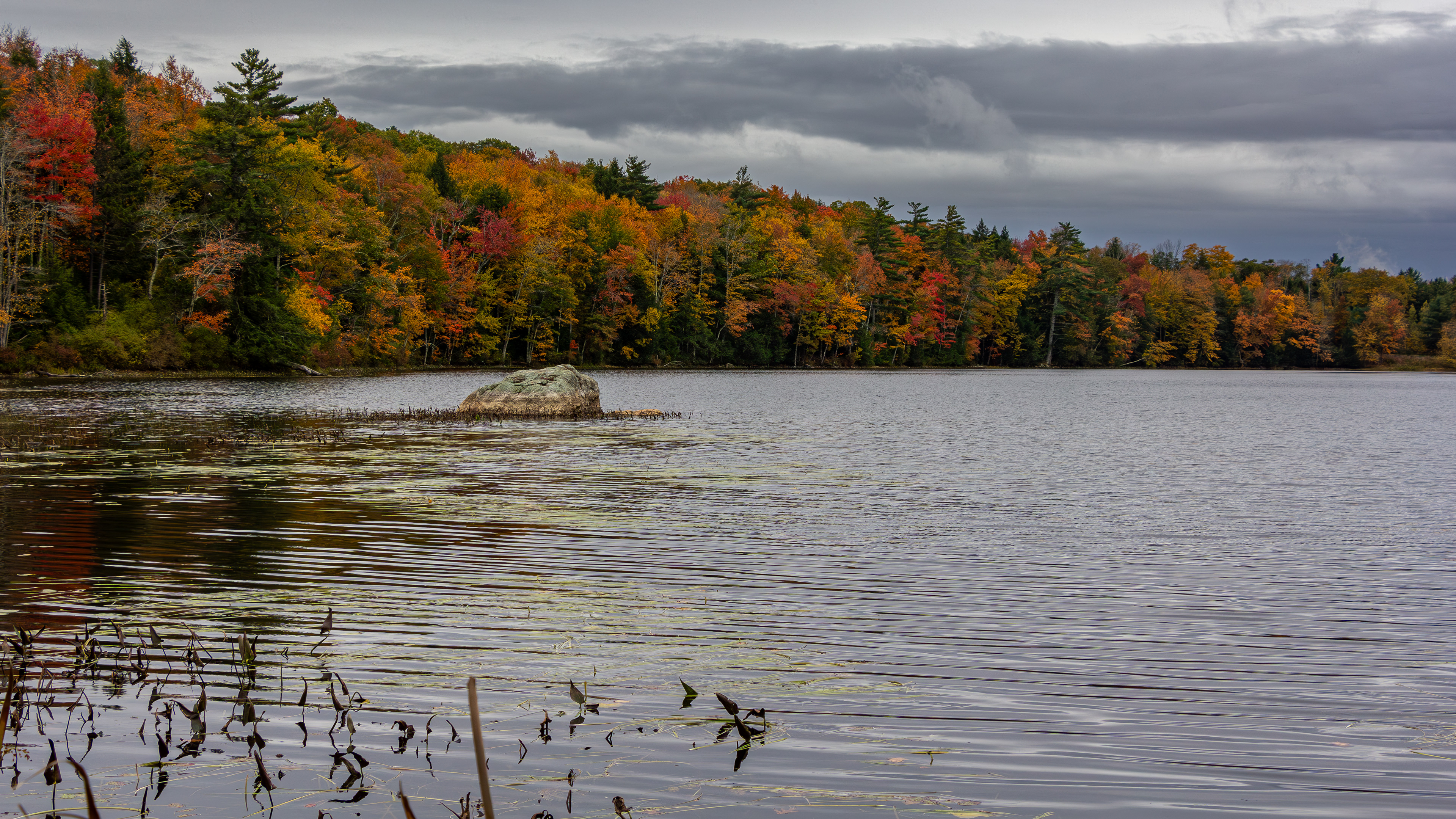 Rollins Pond No17