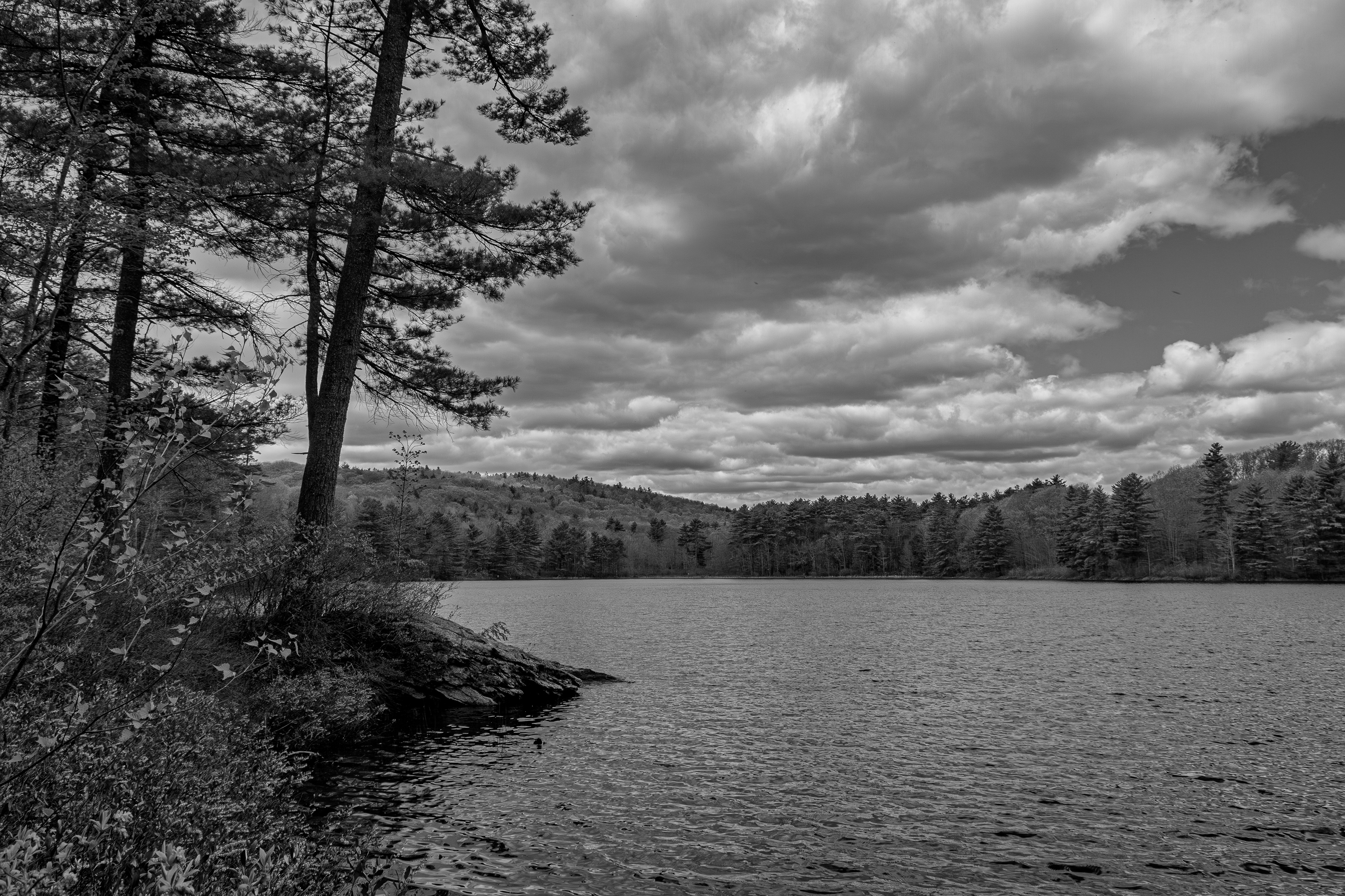 Meetinghouse Pond No1