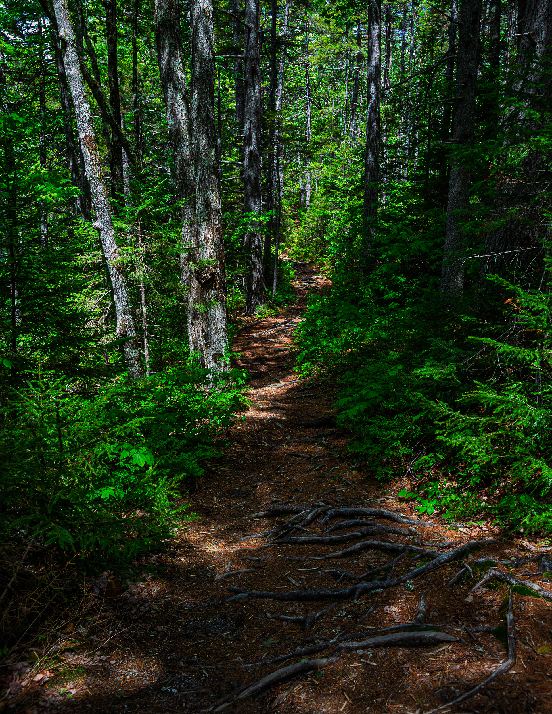 Rocky Gorge No8