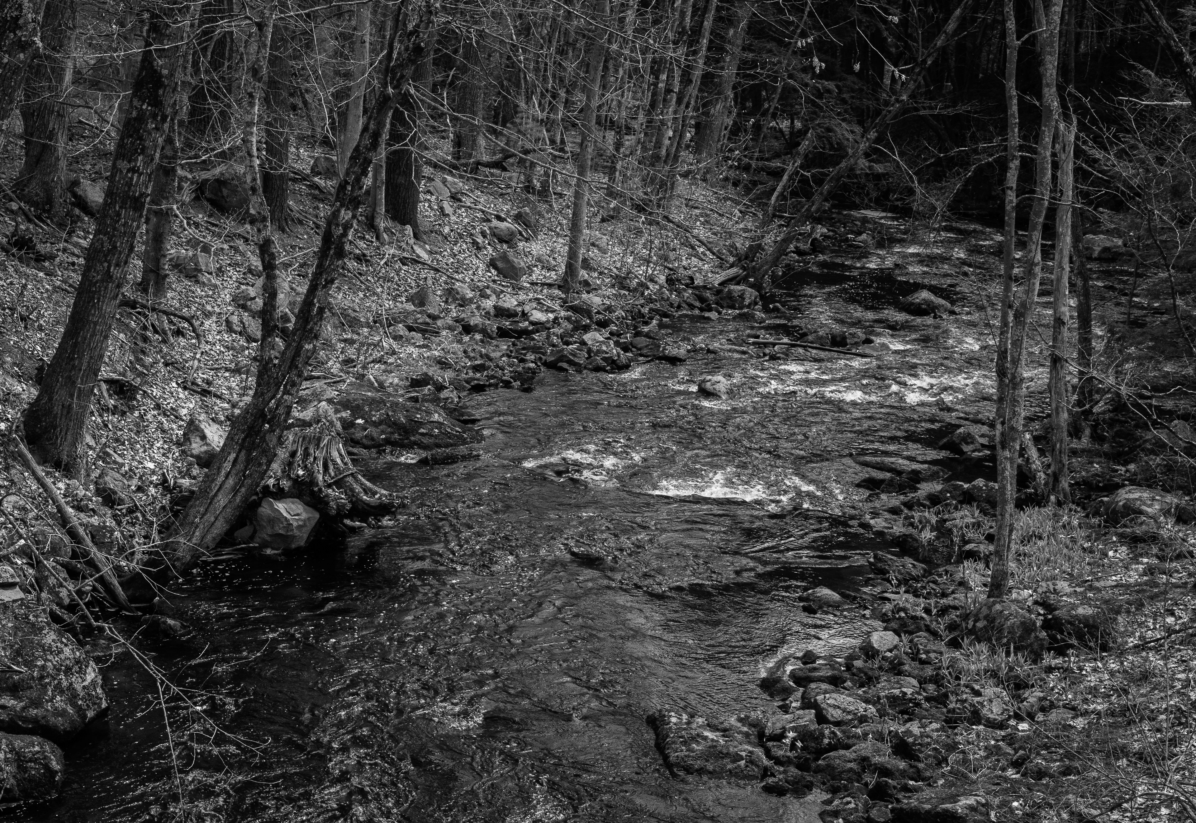 Loudon Stream